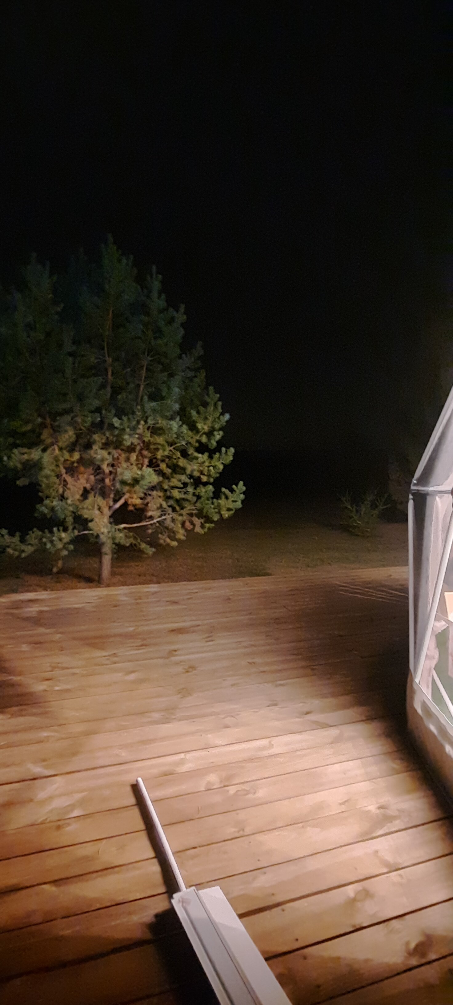 Фото Глэмпберри