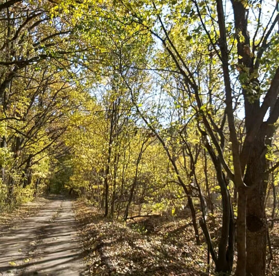 Фото Провинция