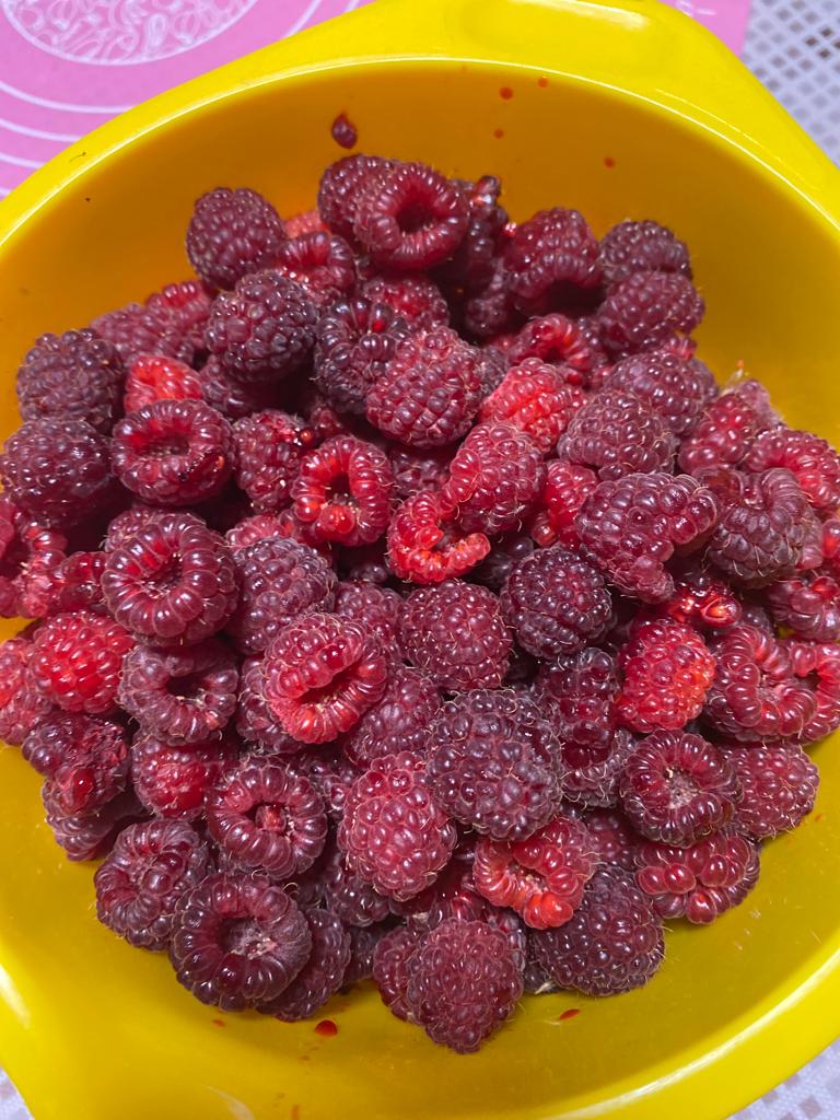 Фото Кубанский хуторок