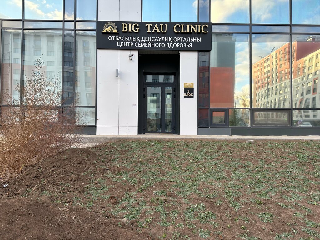 Medical center, clinic Big Tau Clinic, Astana, photo