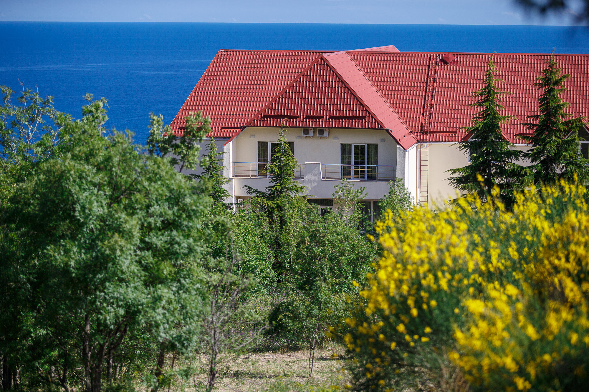 Фото Белоруссия