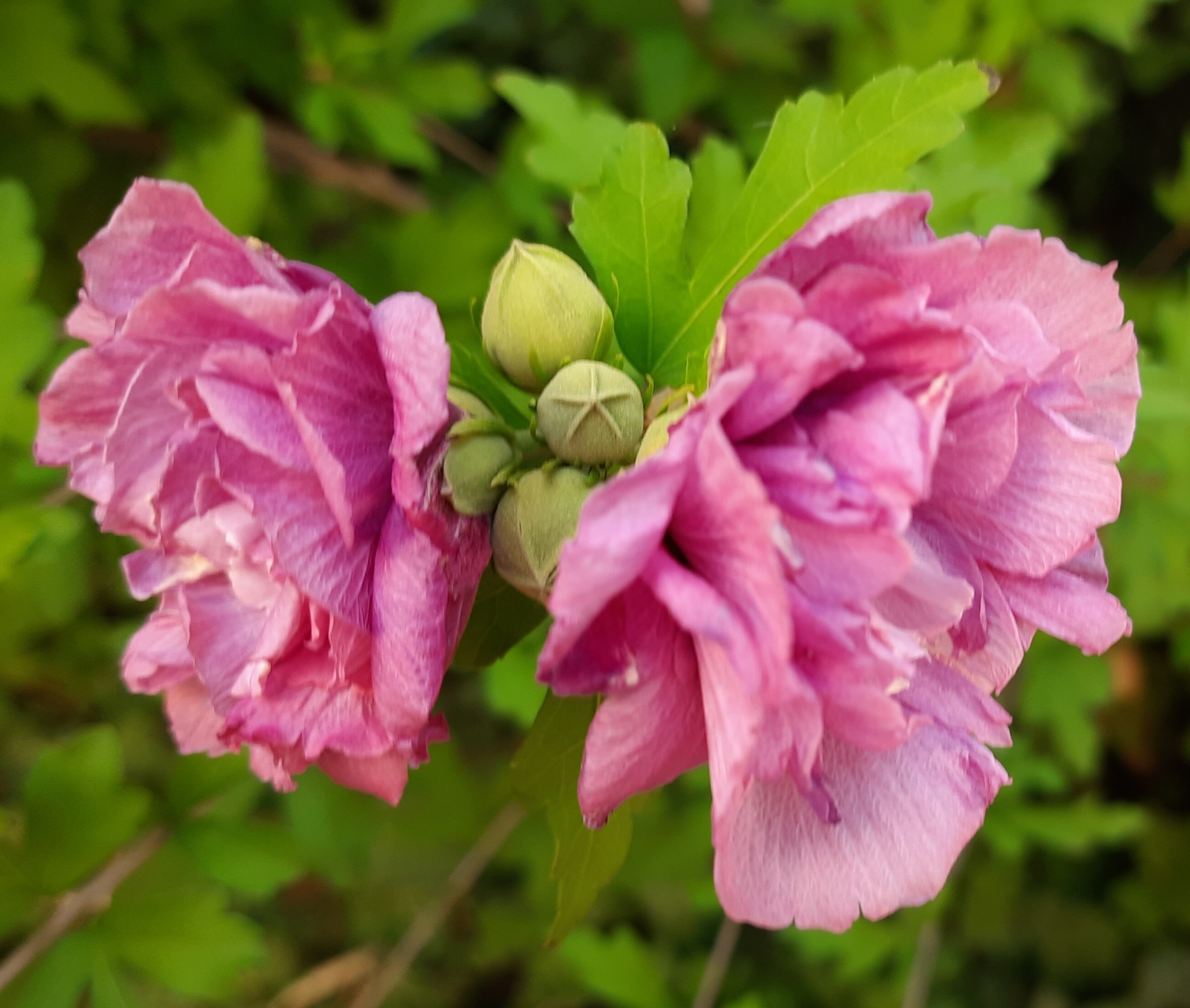 Фото Южный ветер