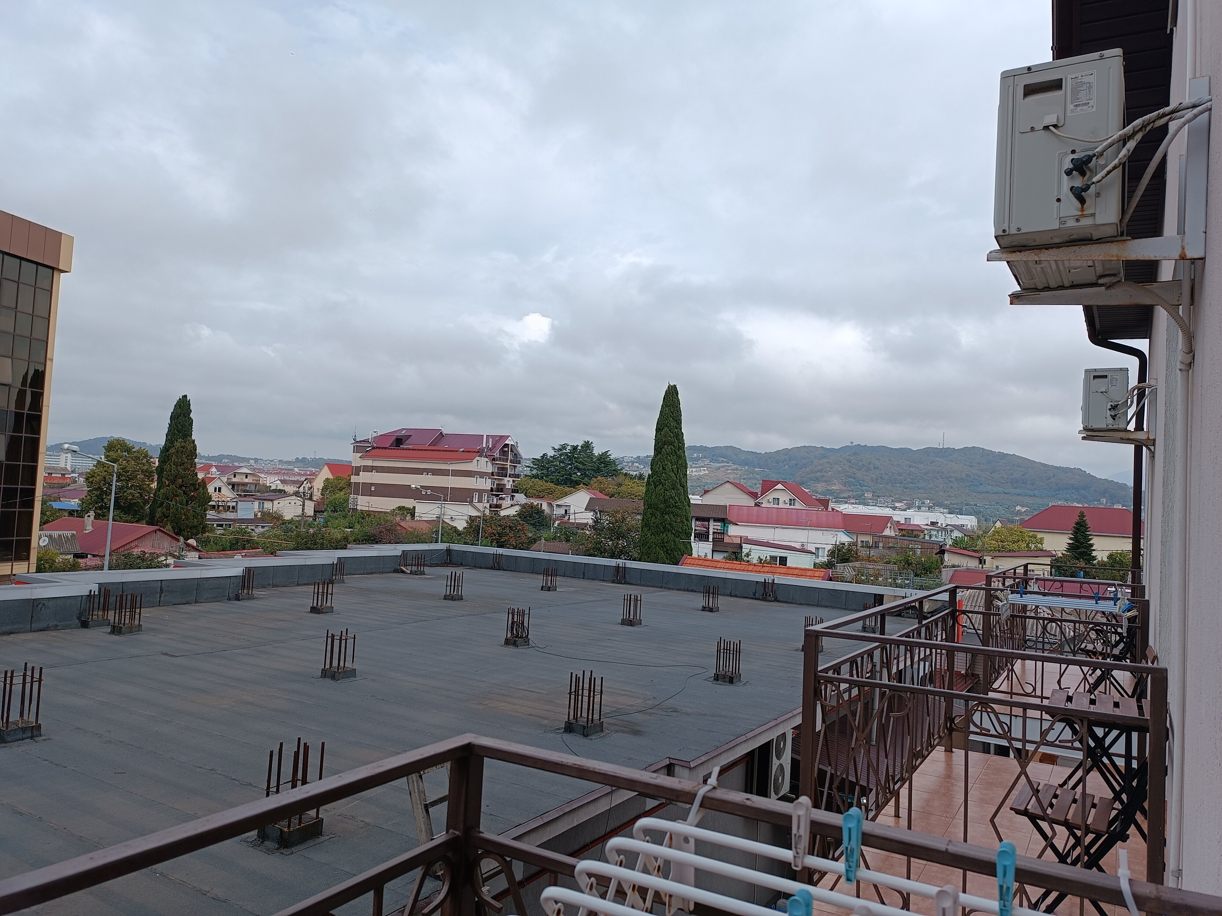 Фото Лаванда