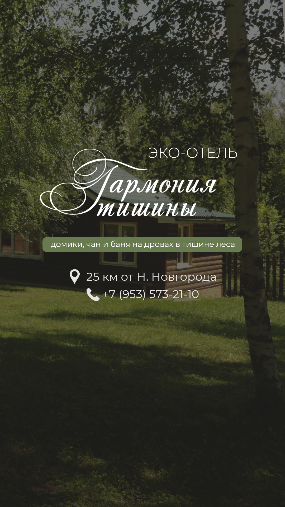 Фото Гармония тишины