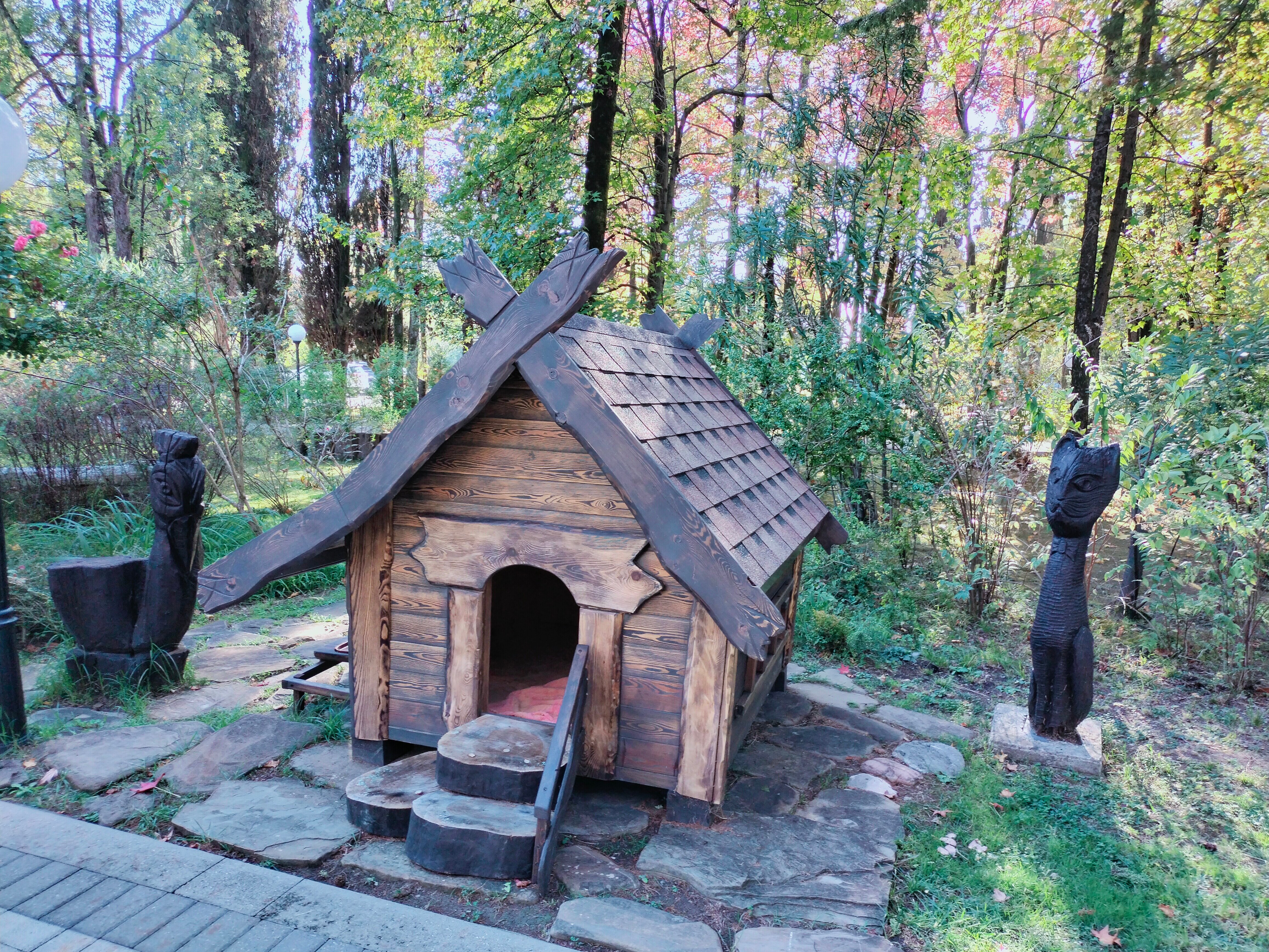 Фото Беларусь