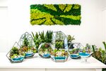 Fitomir decor (Sacco and Vanzetti Street, 54), courses and master classes