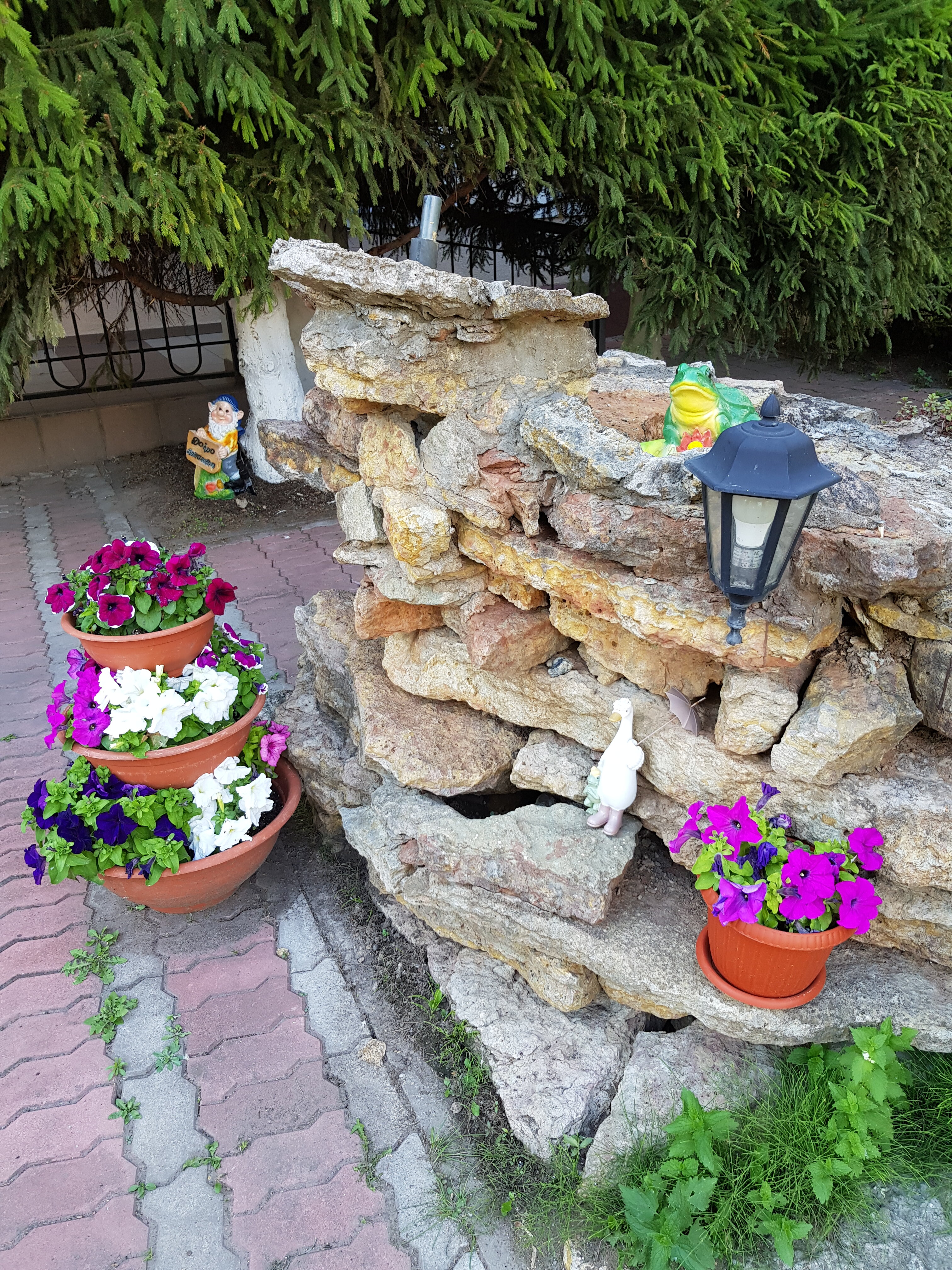 Фото Елизар