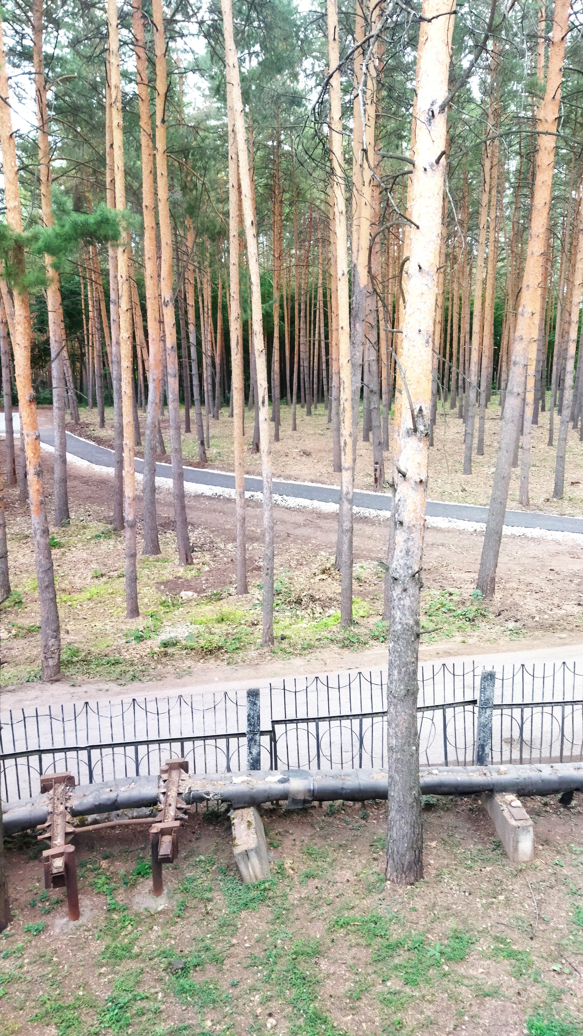 Фото Радуга