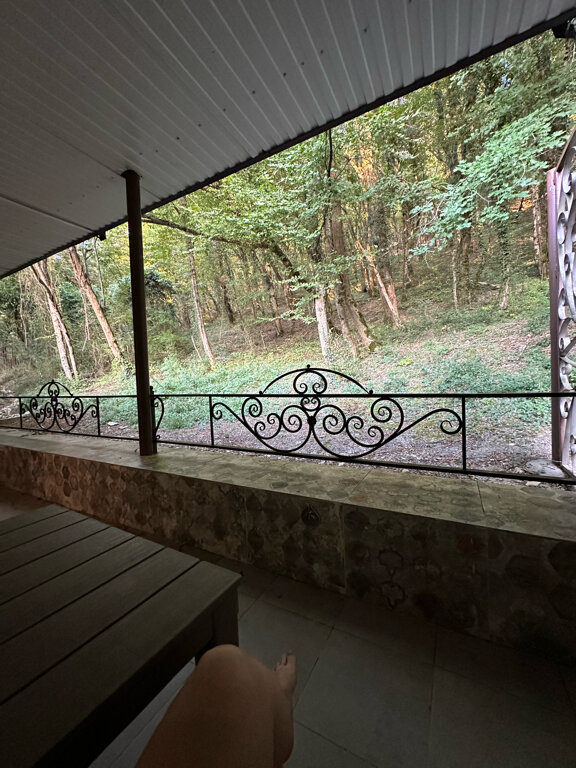 Фото Примула