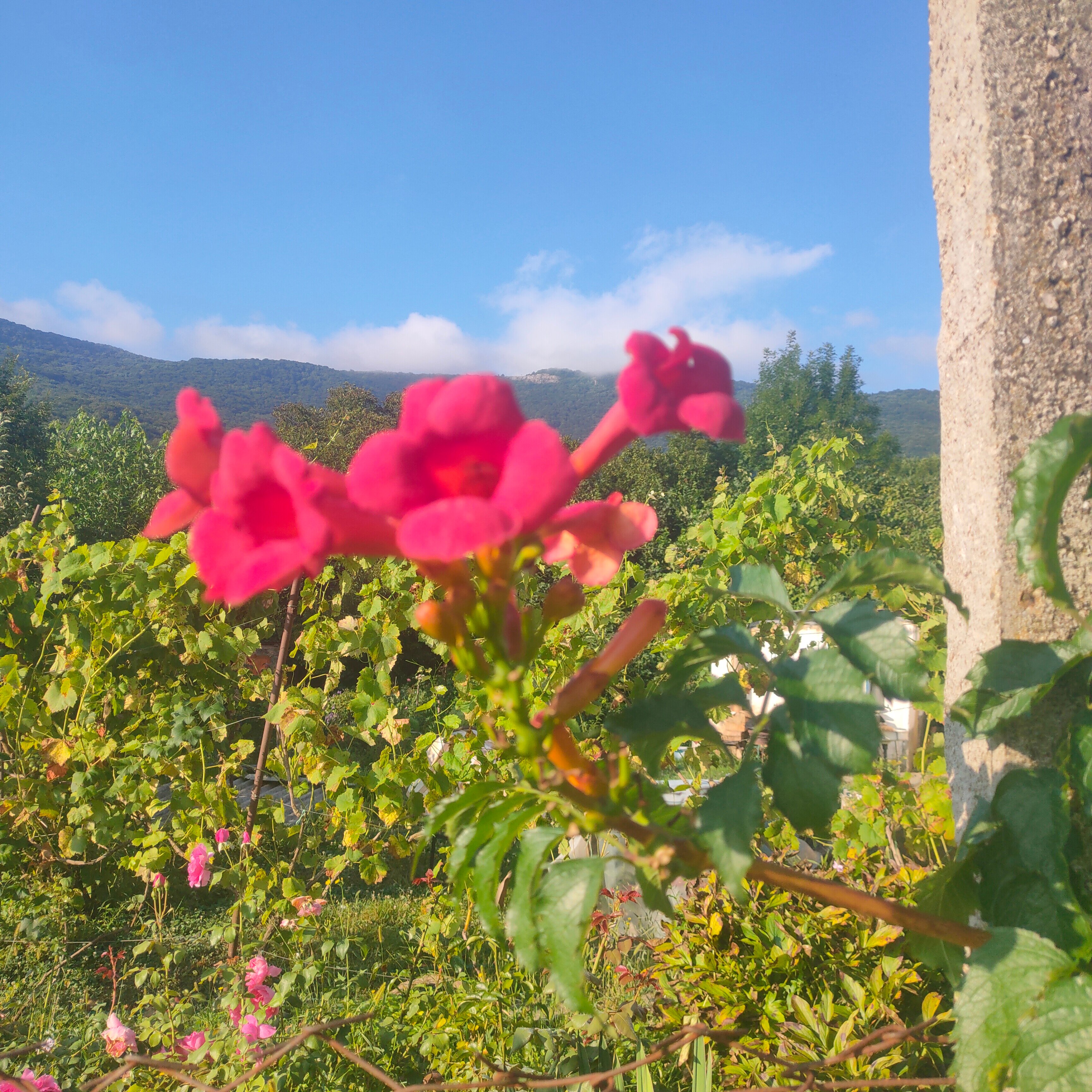 Фото Богатое ущелье