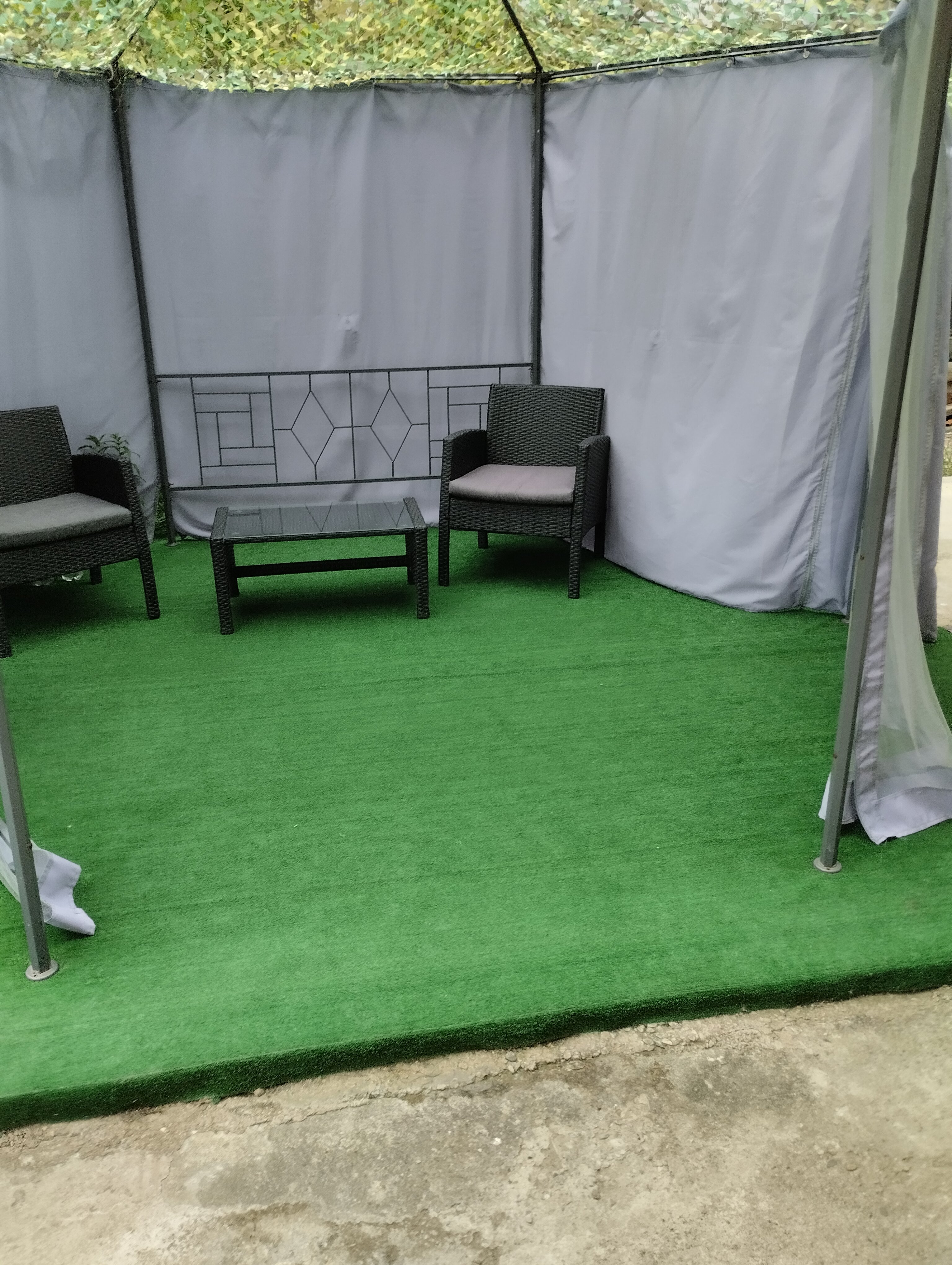 Фото Томичка