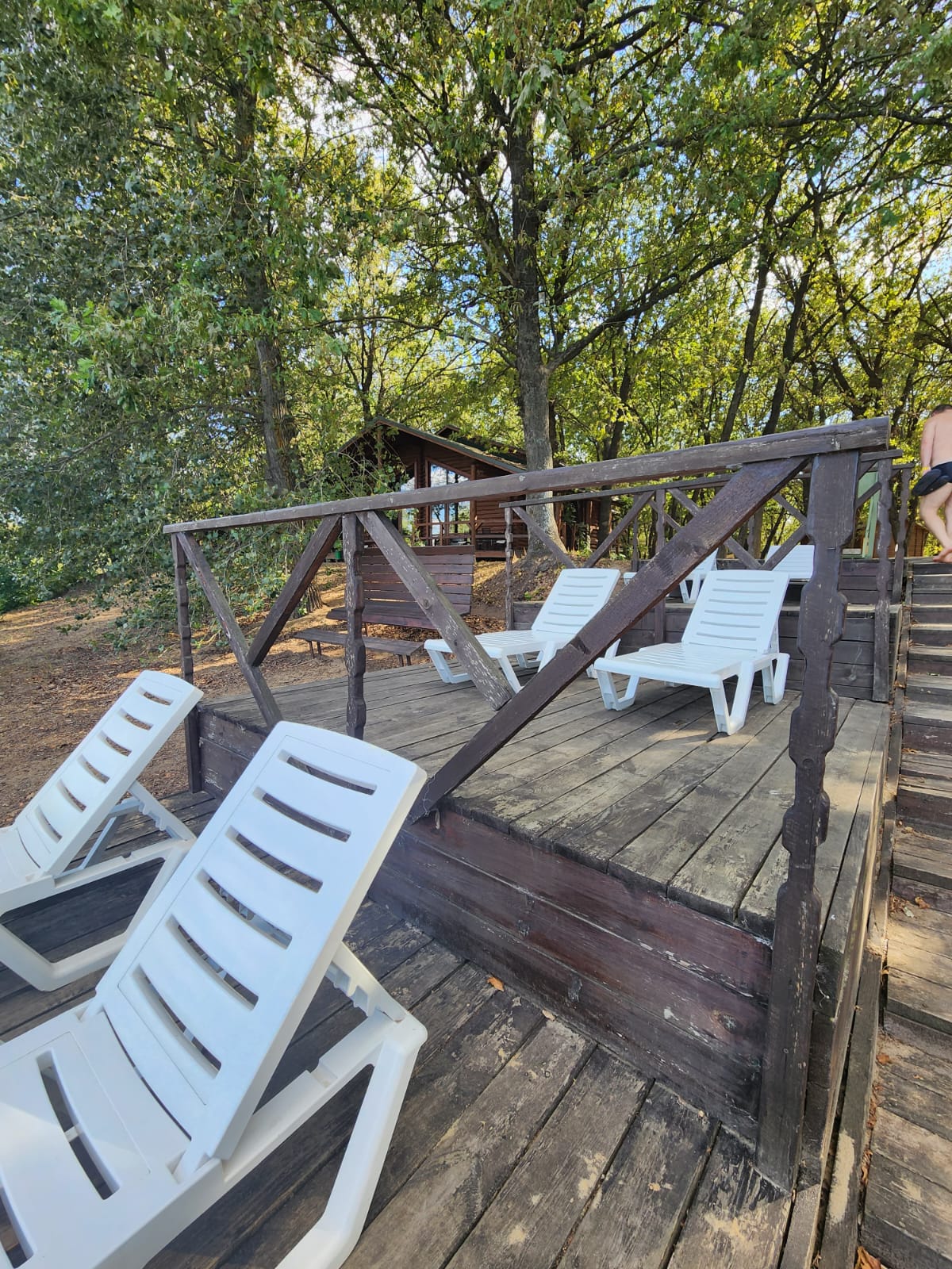 Фото Дубровский