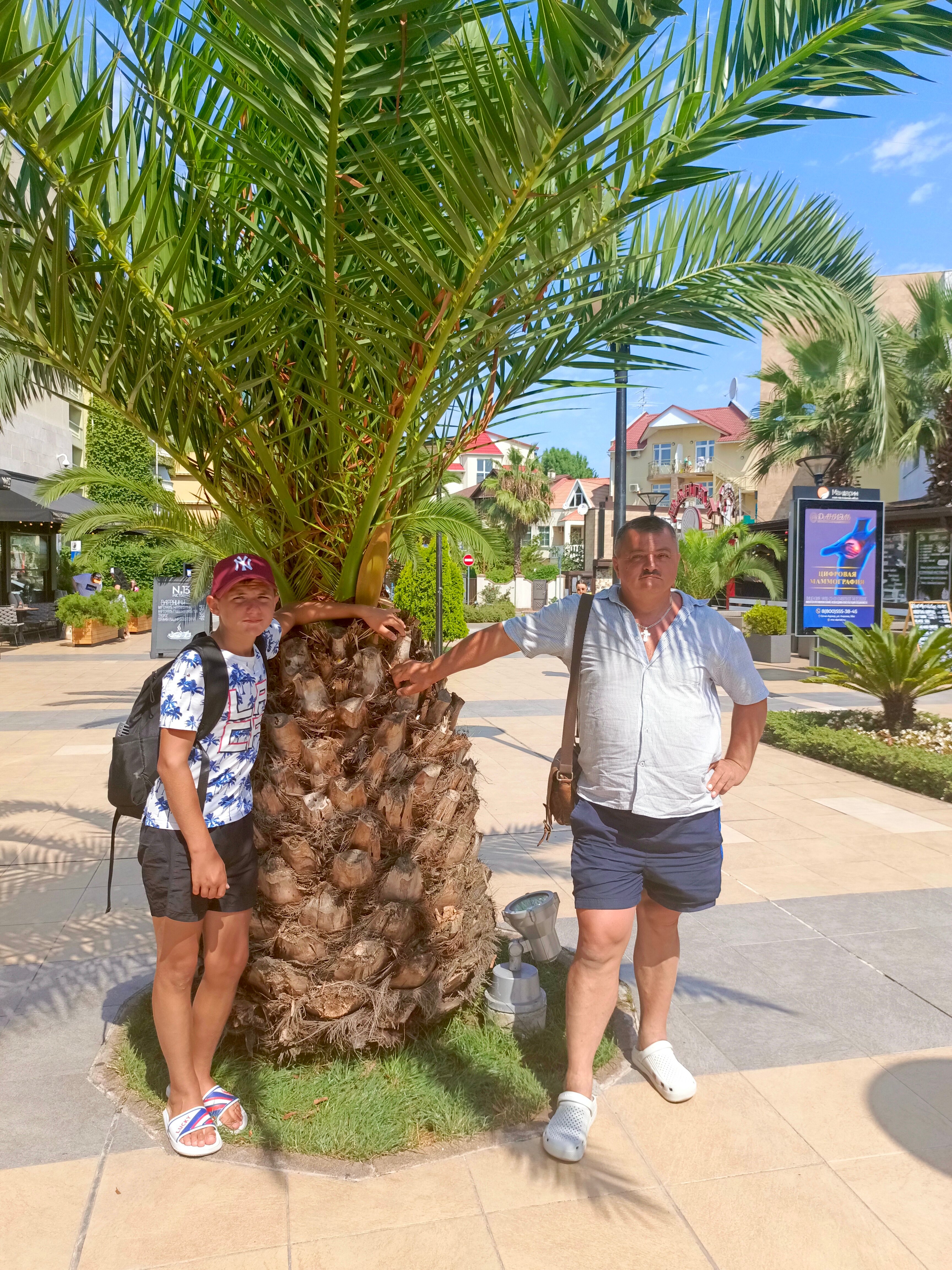 Фото Diana Palace