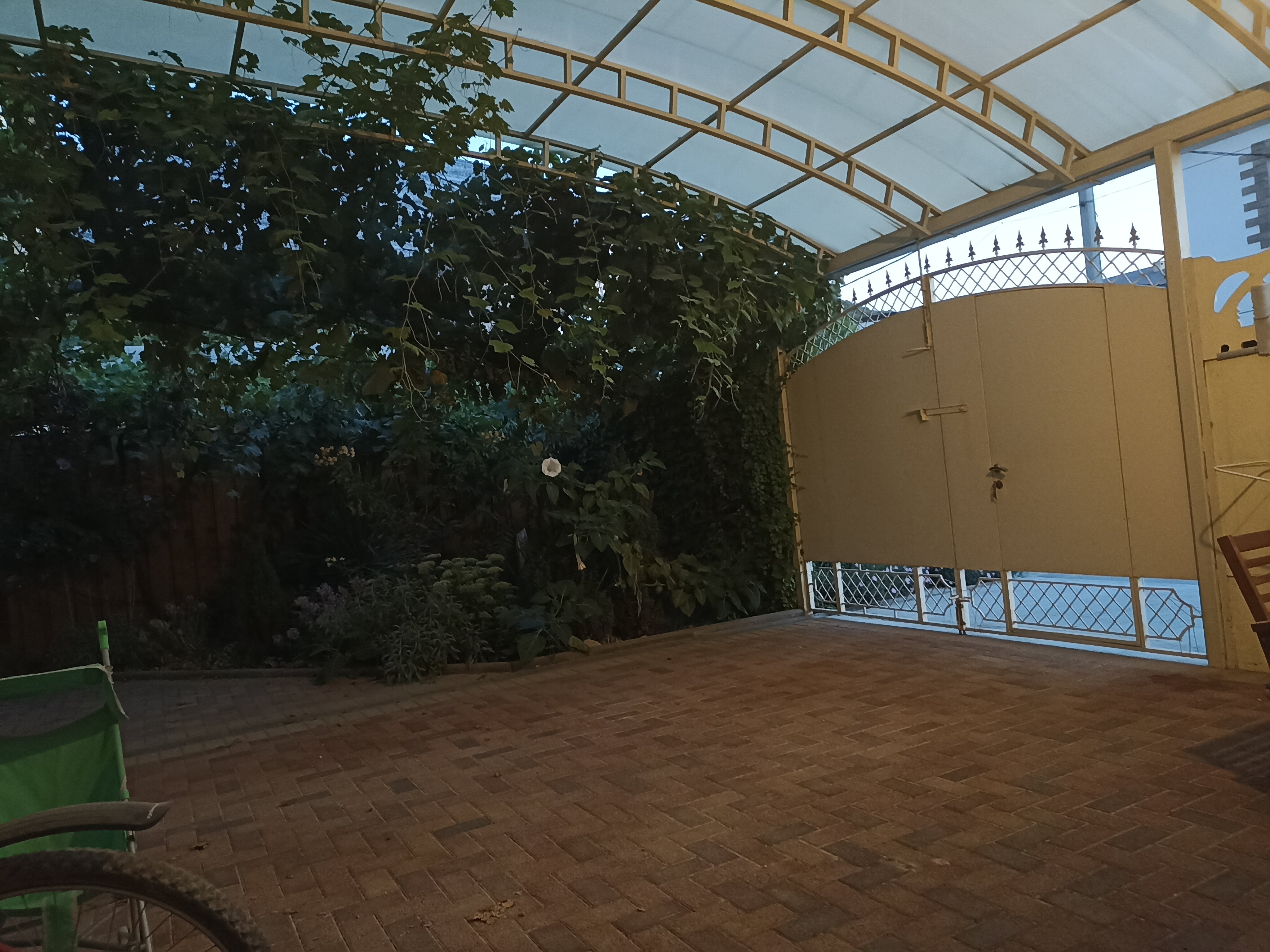 Фото Солнечный