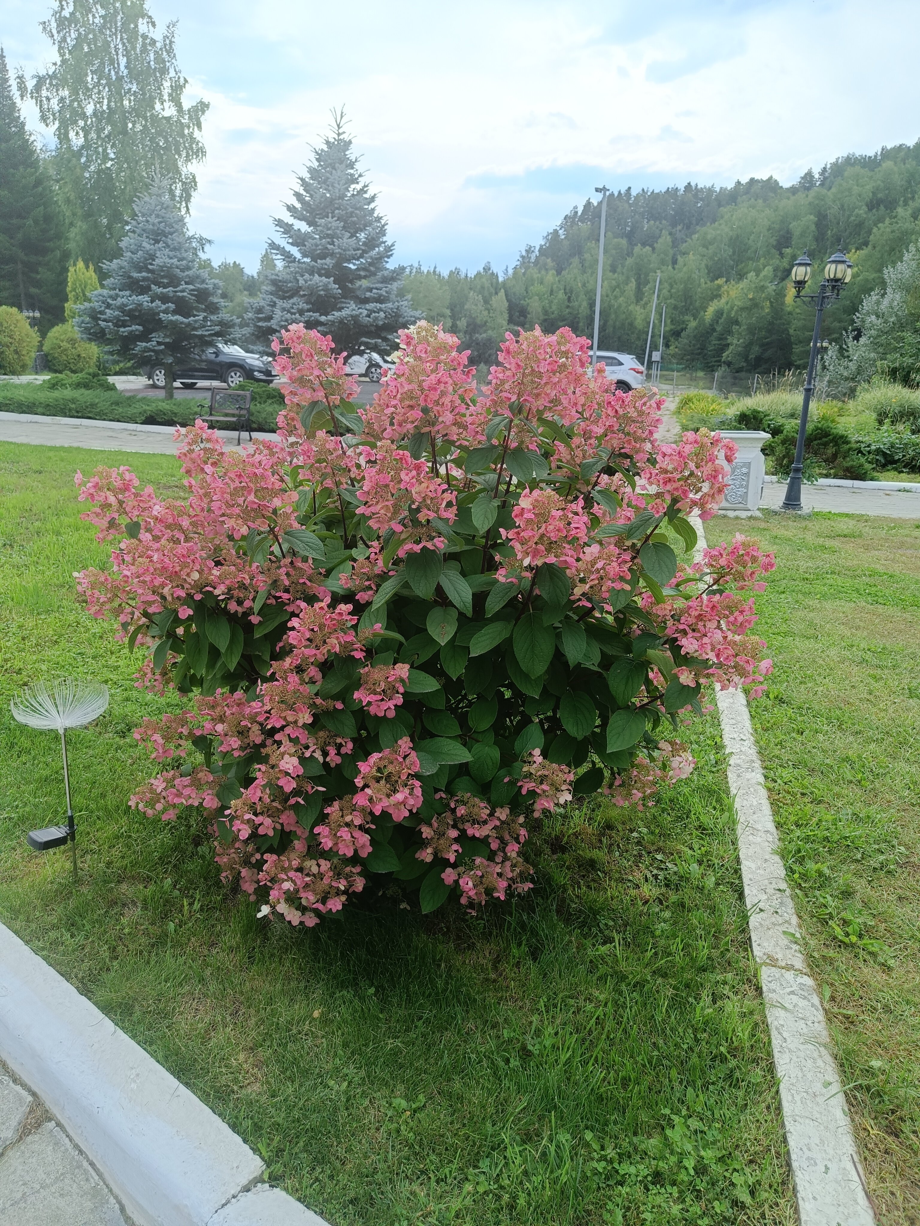 Фото Корона Алтая