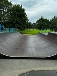 Скейт-парк (Saint Petersburg, Aviatorov Park) ، منتزه تزلج