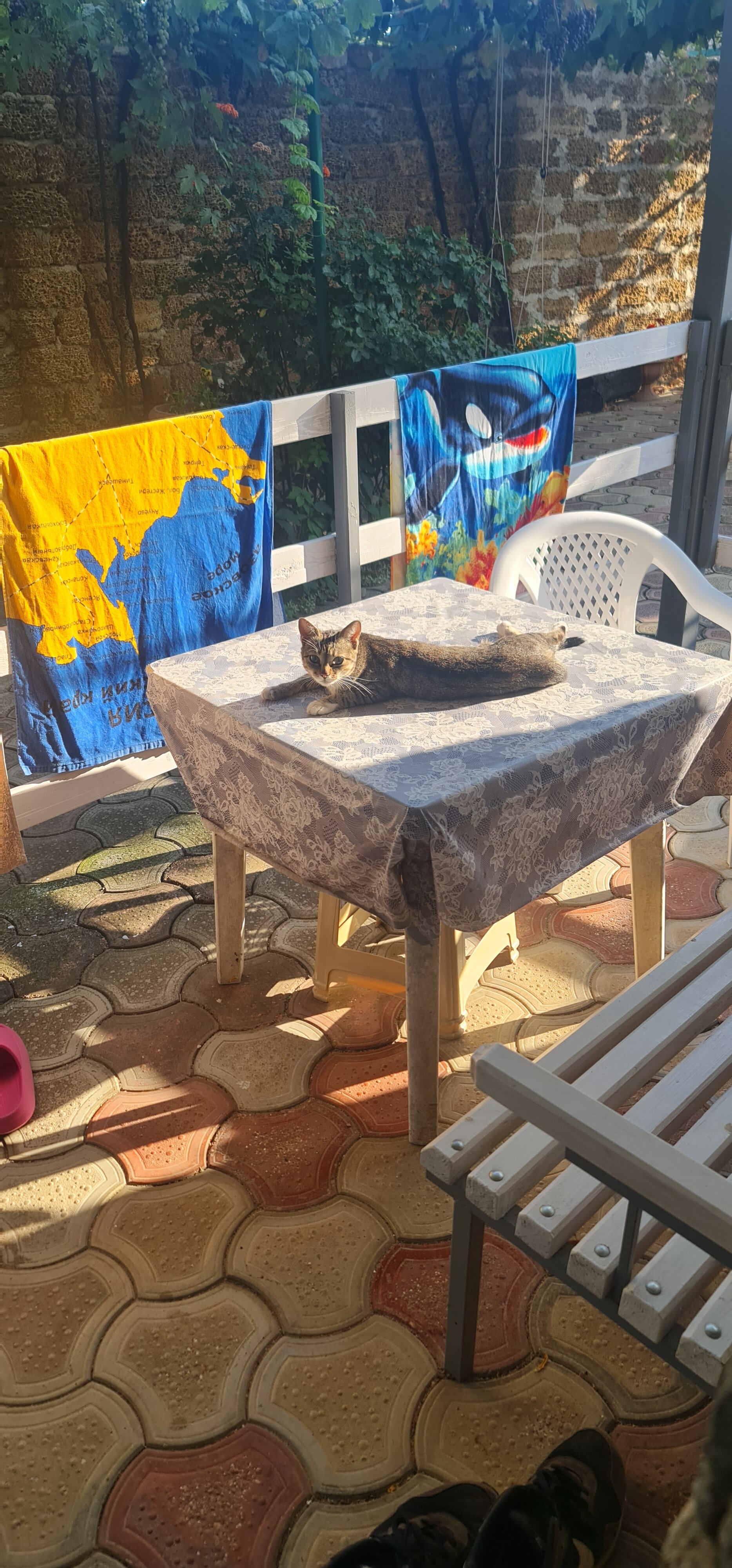 Фото Летний дом Сивэй