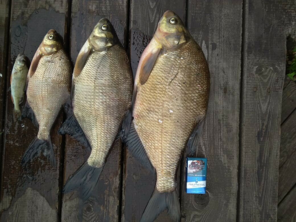 Фото Атлас Парк-отель