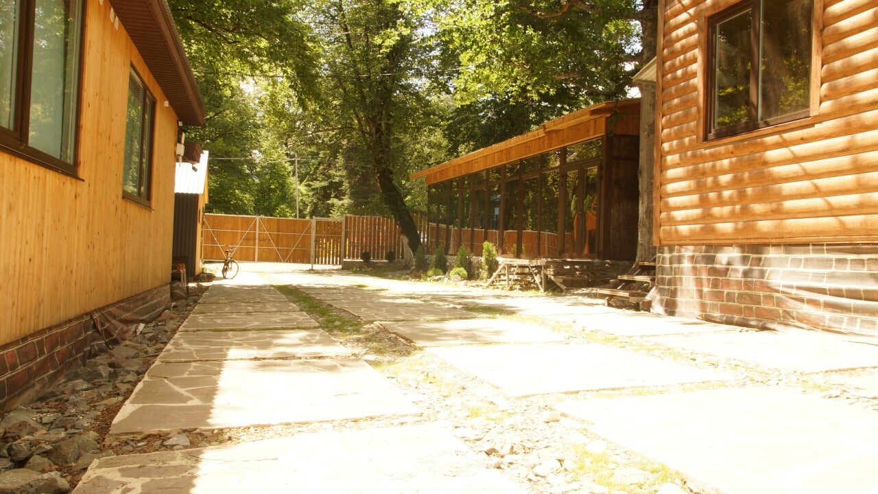 Фото Чинара