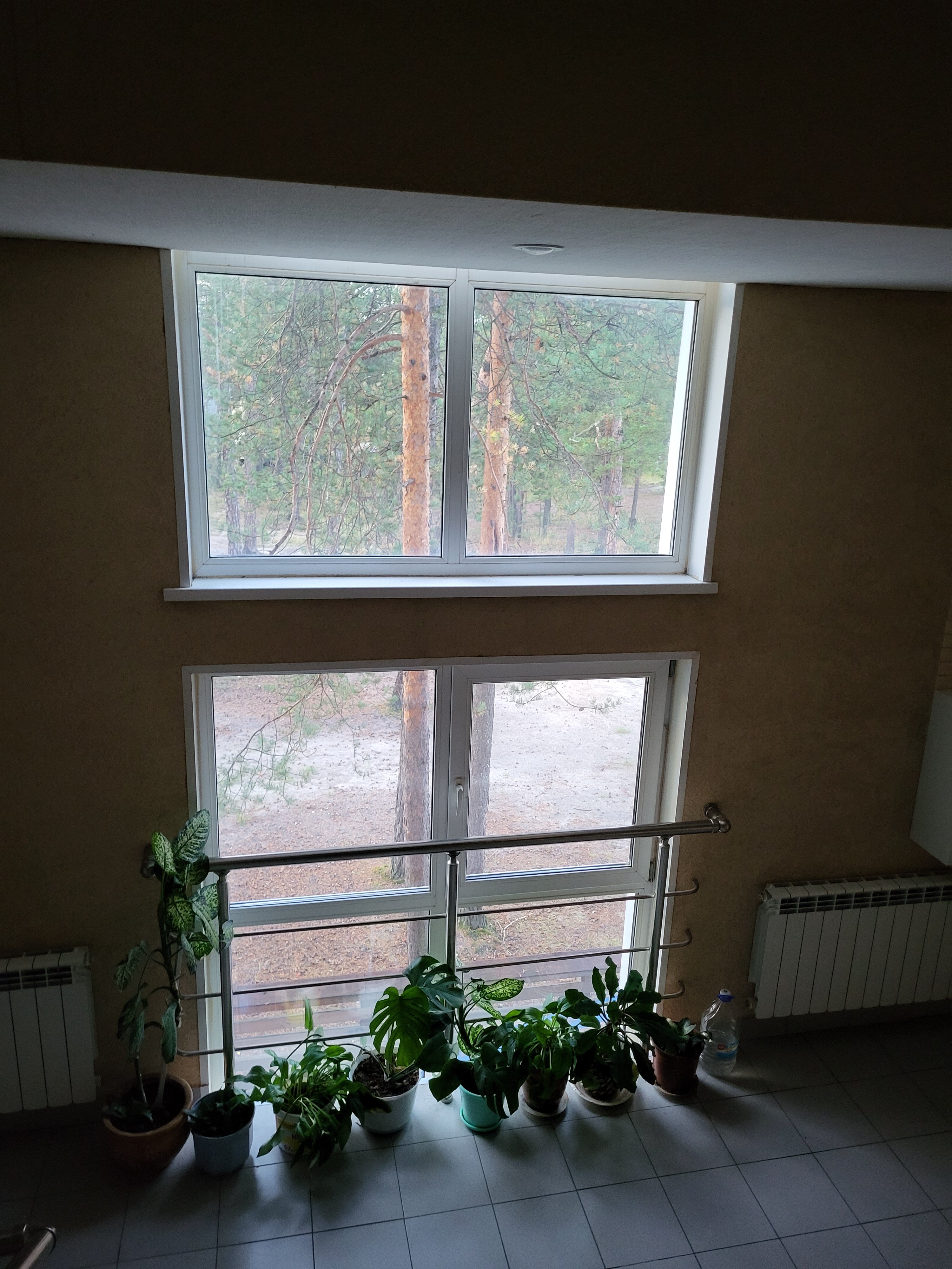 Фото Белая гора