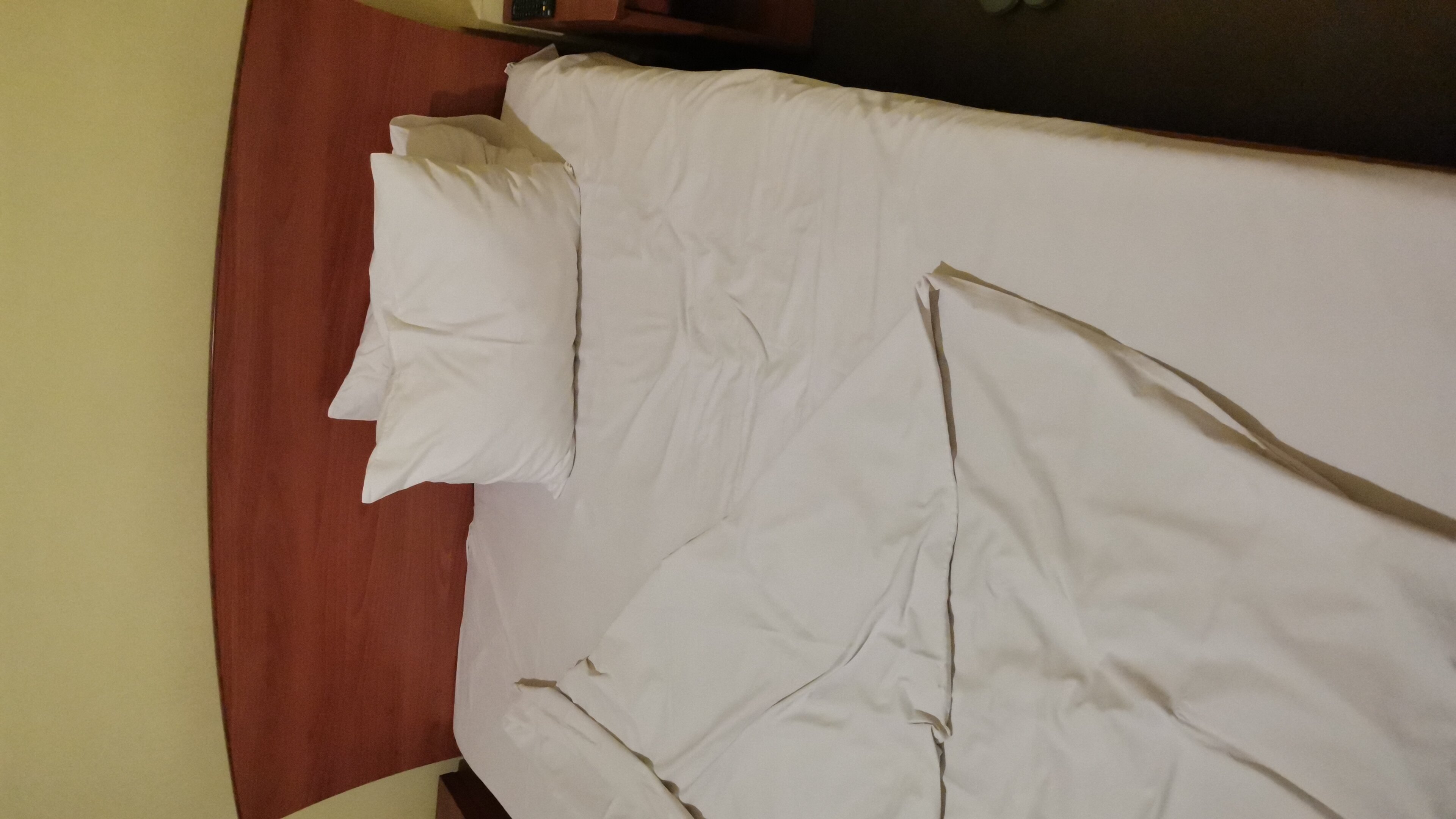 Фото Парадиз