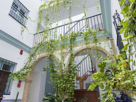 Фото Apartamentos Suites Santa Cruz