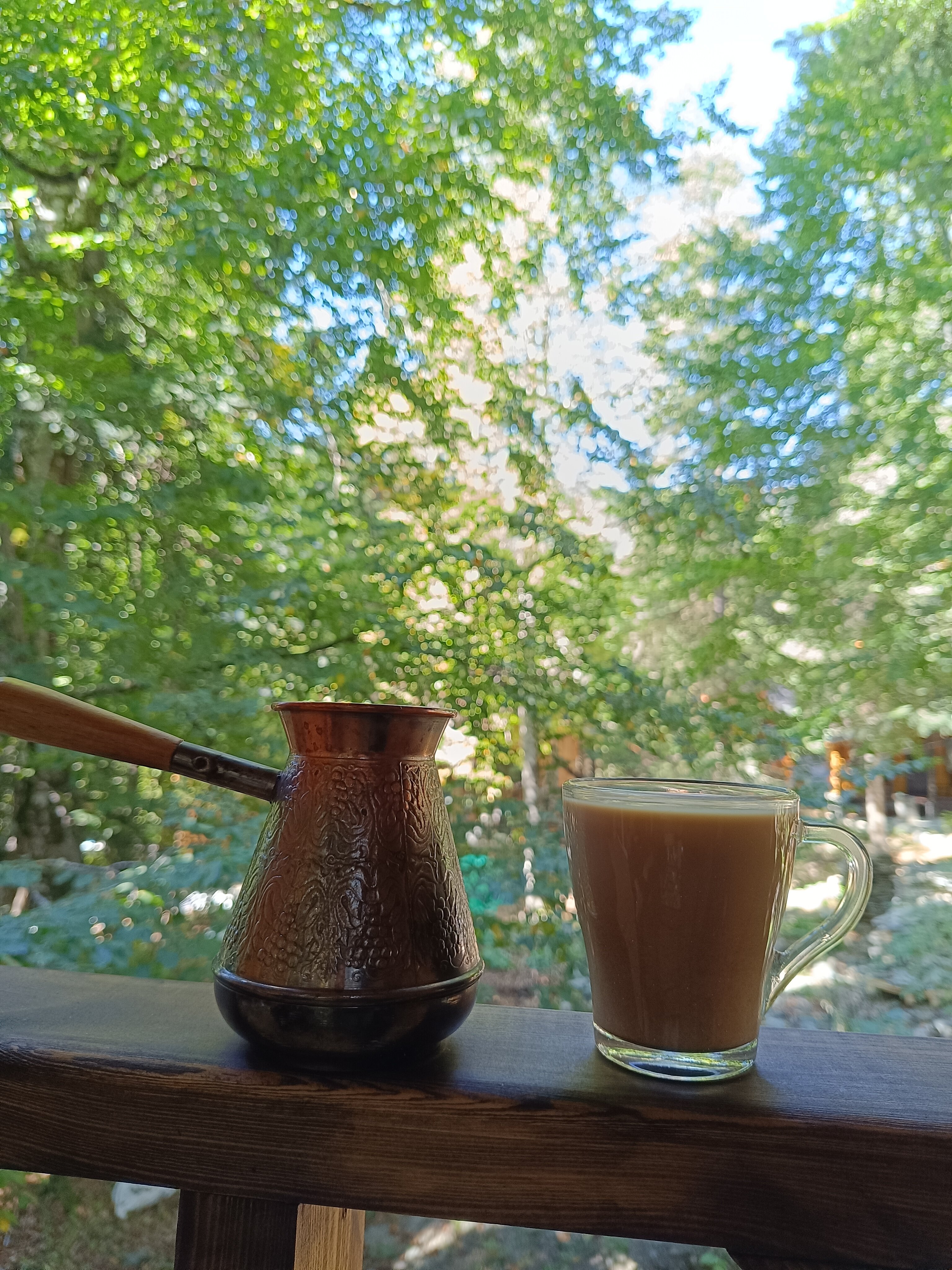 Фото Брусника