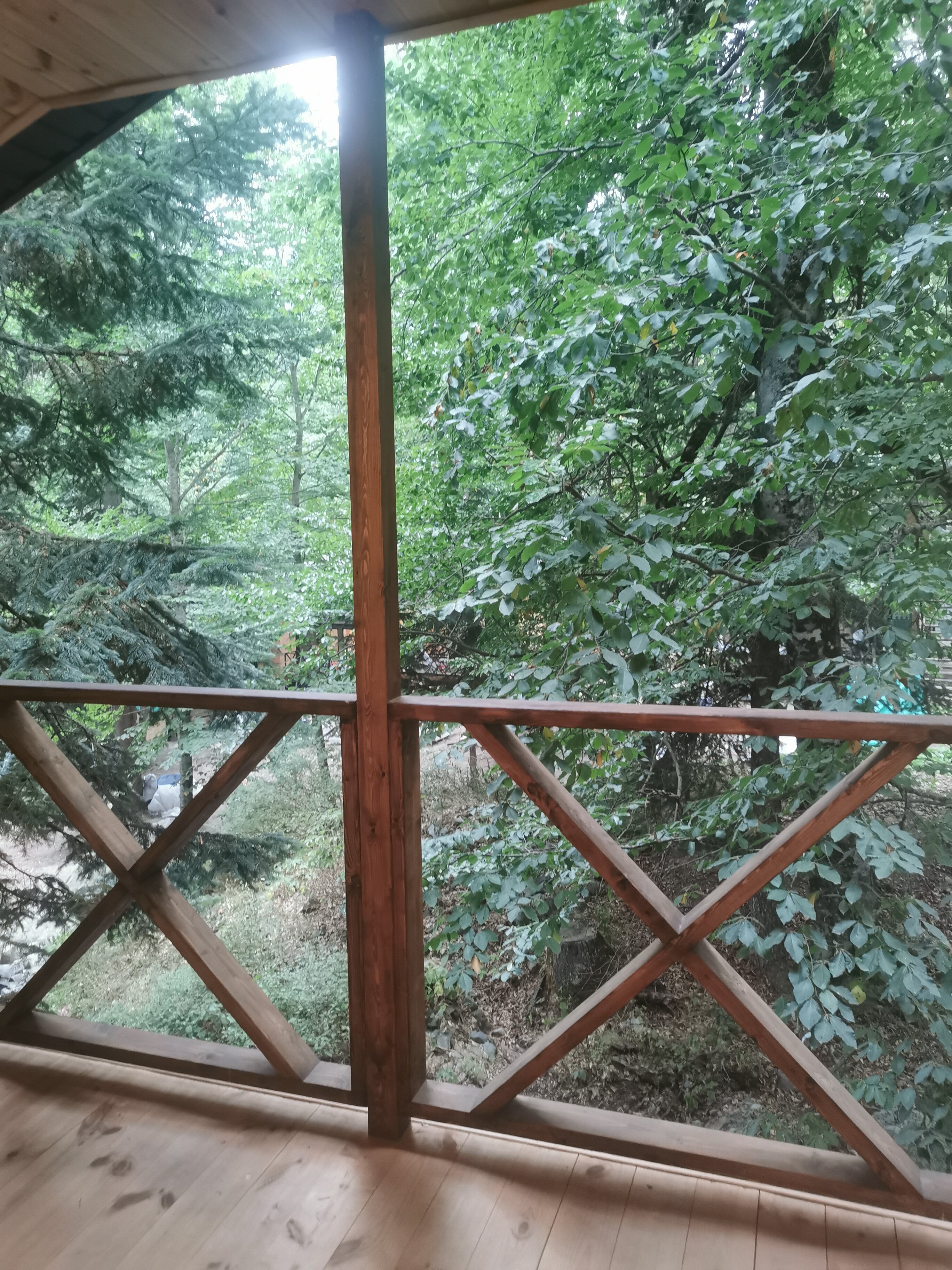 Фото Брусника