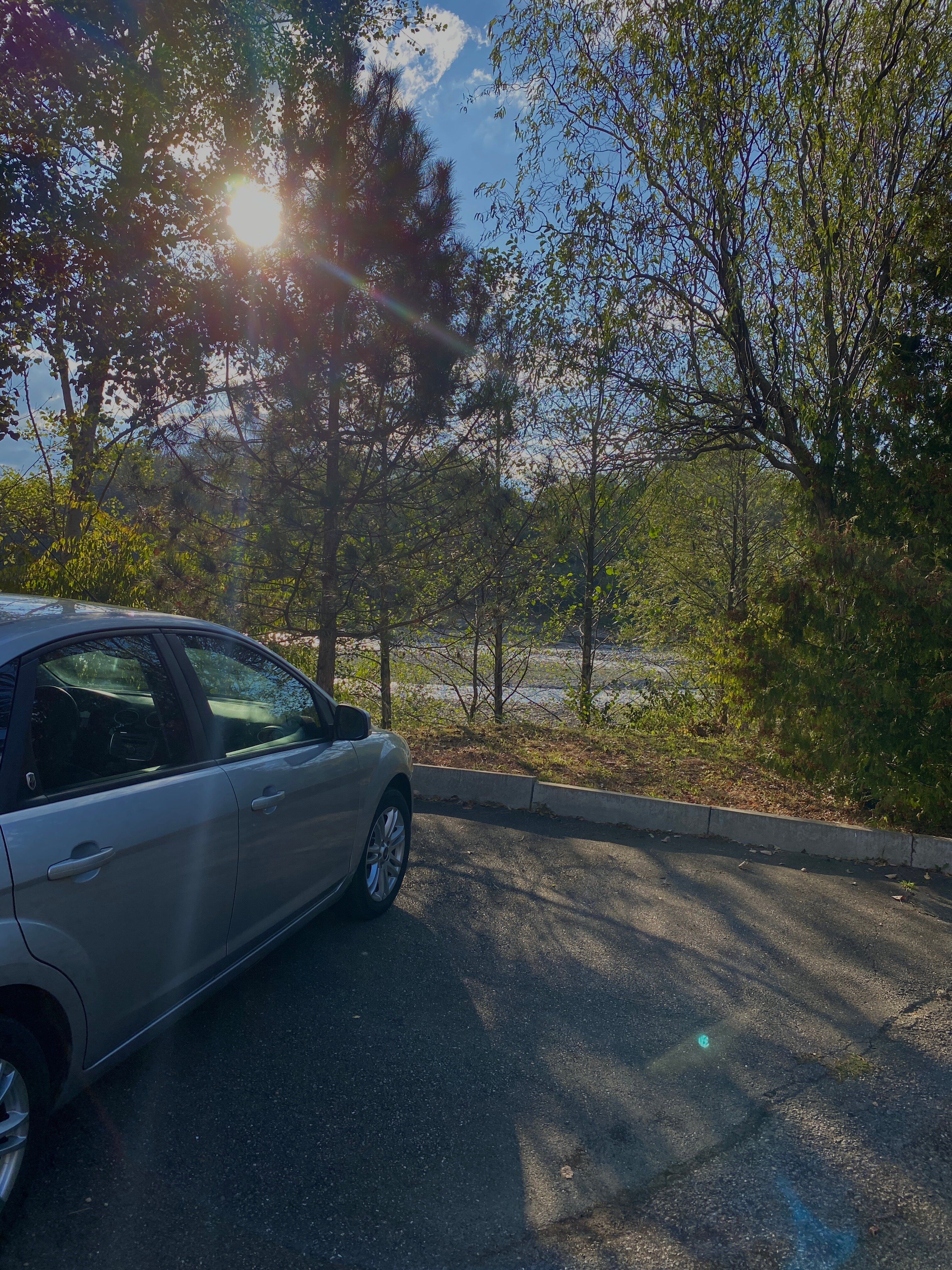 Фото Лукоморье