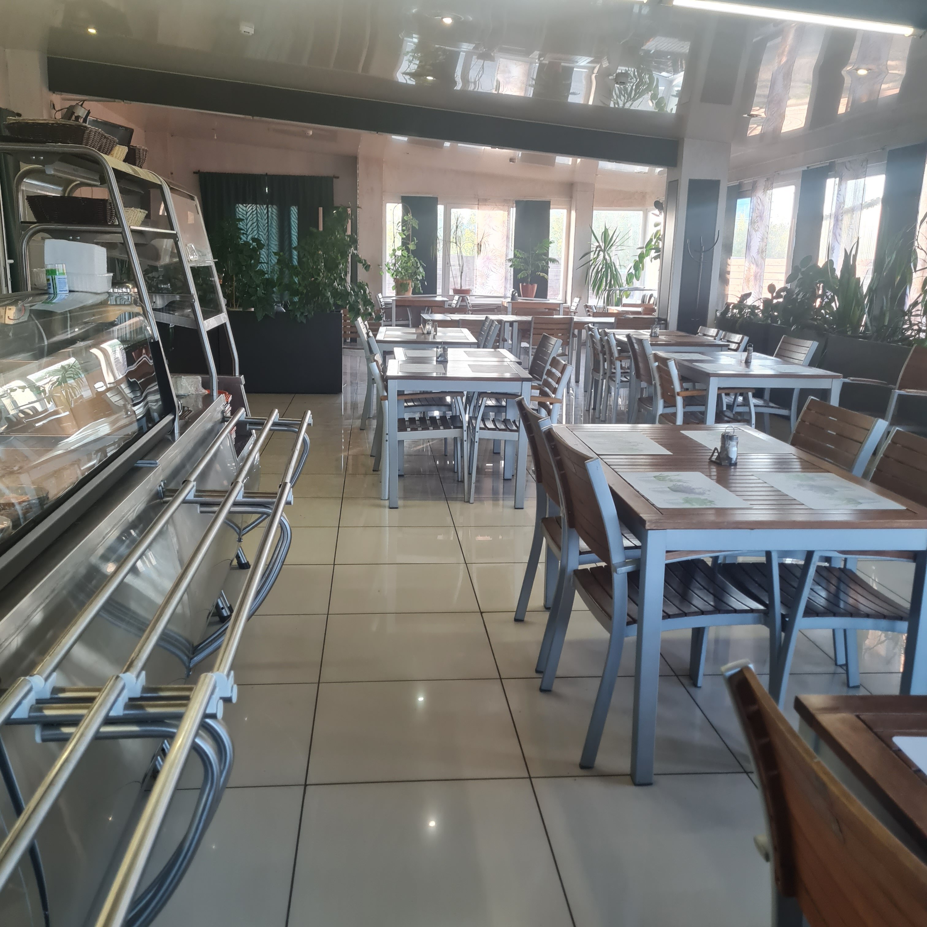 Фото Альбатрос