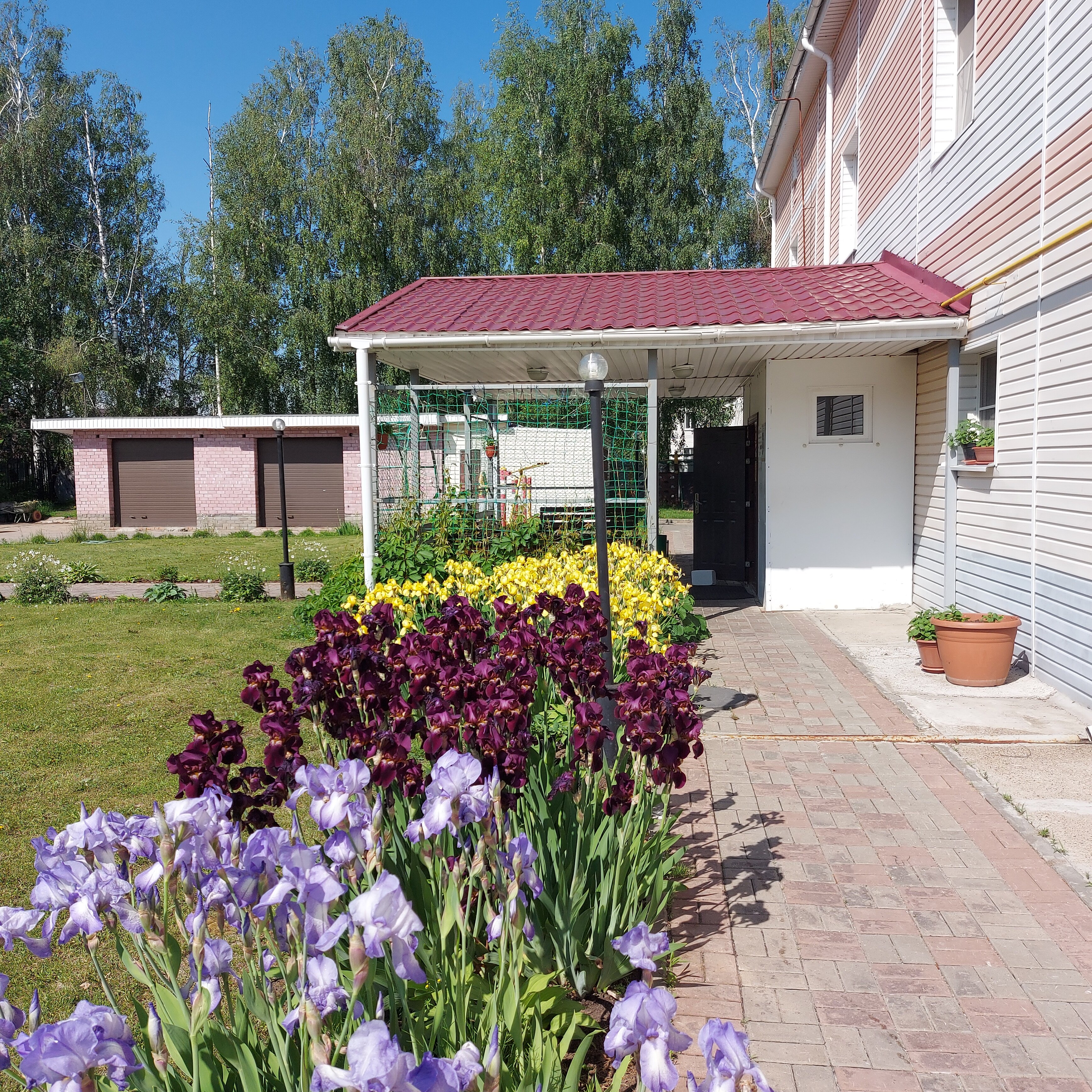 Фото Дядя Ваня