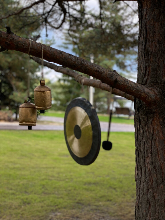 Фото Лунный Кролик