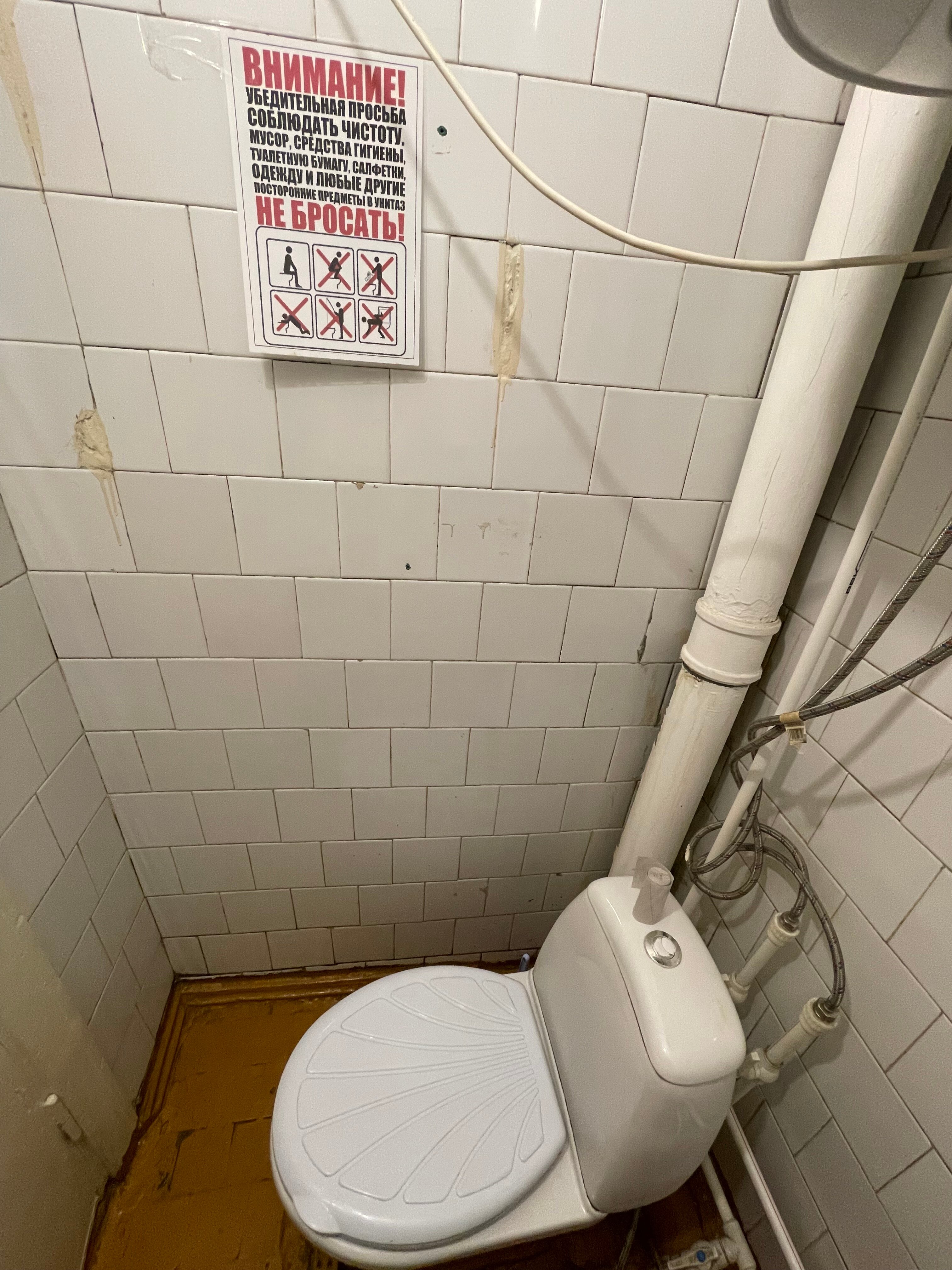 Фото Солнечная