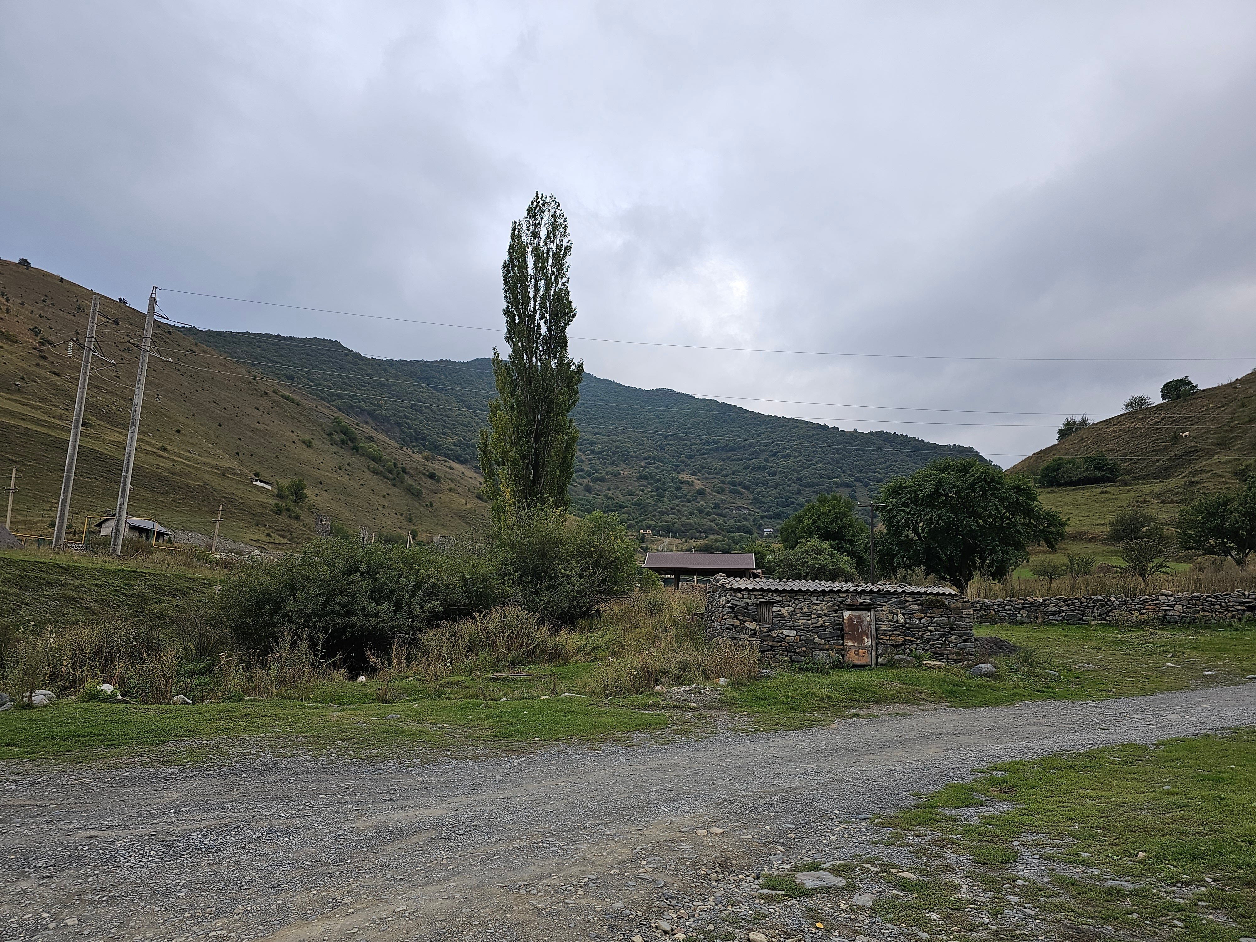 Фото Фруктовый Сад