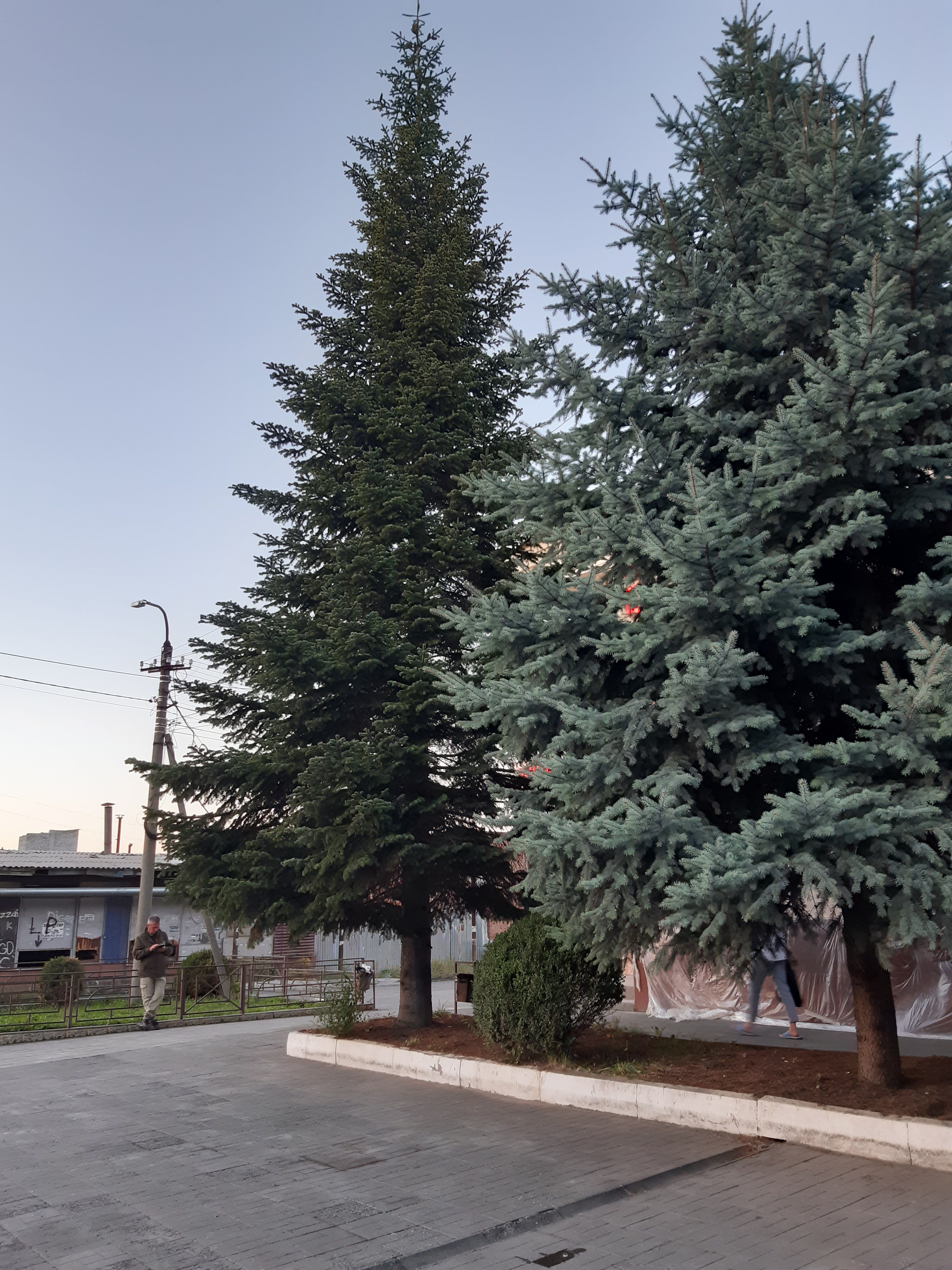 Фото Вероника