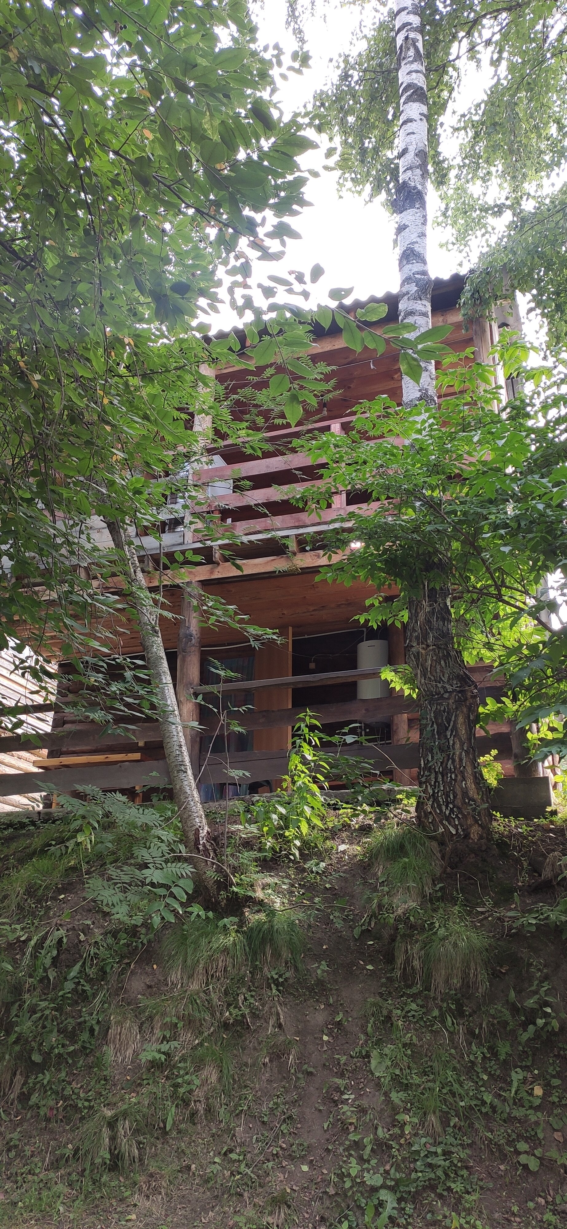 Фото У ручья