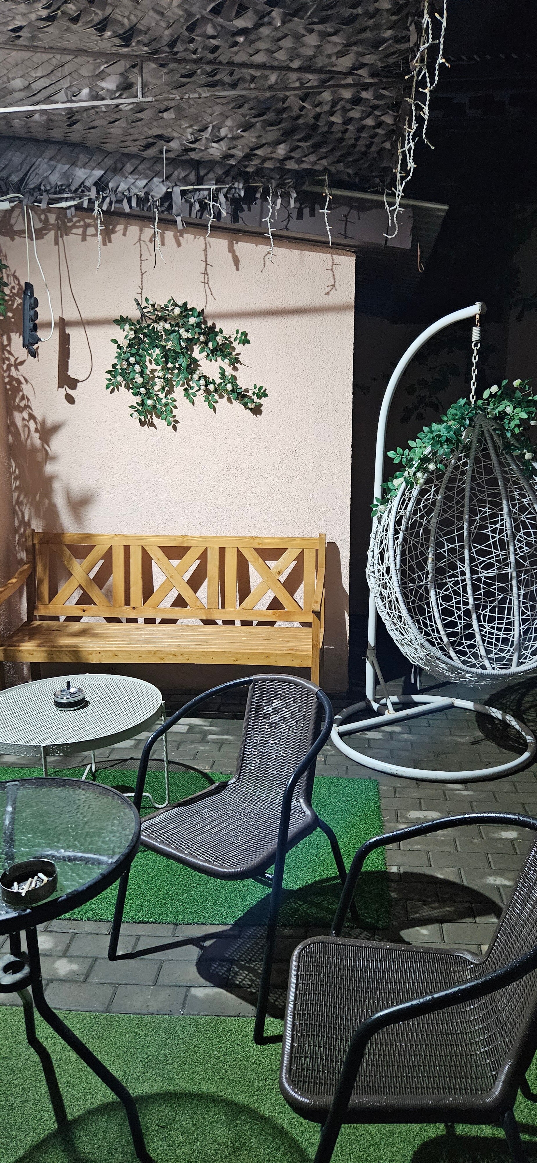 Фото Абрикос