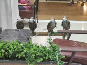 فيوشن بايتس (20, Al Dhad Road, Sharjah) ، مقهى