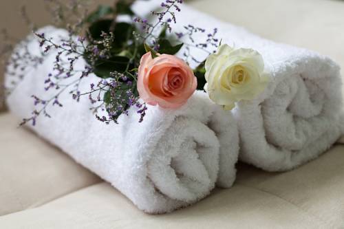 Фото Trang An Plaza Hotel