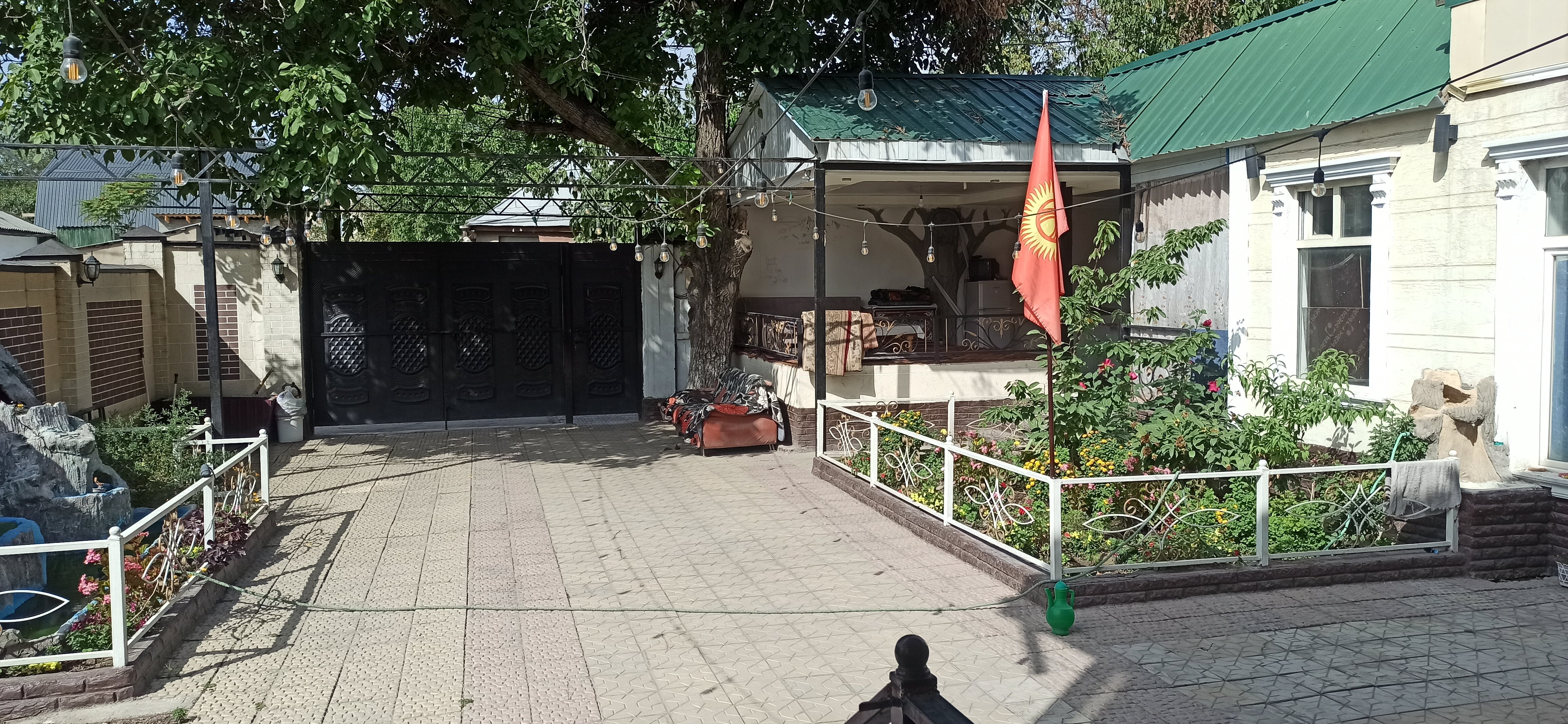 Фото Крокус