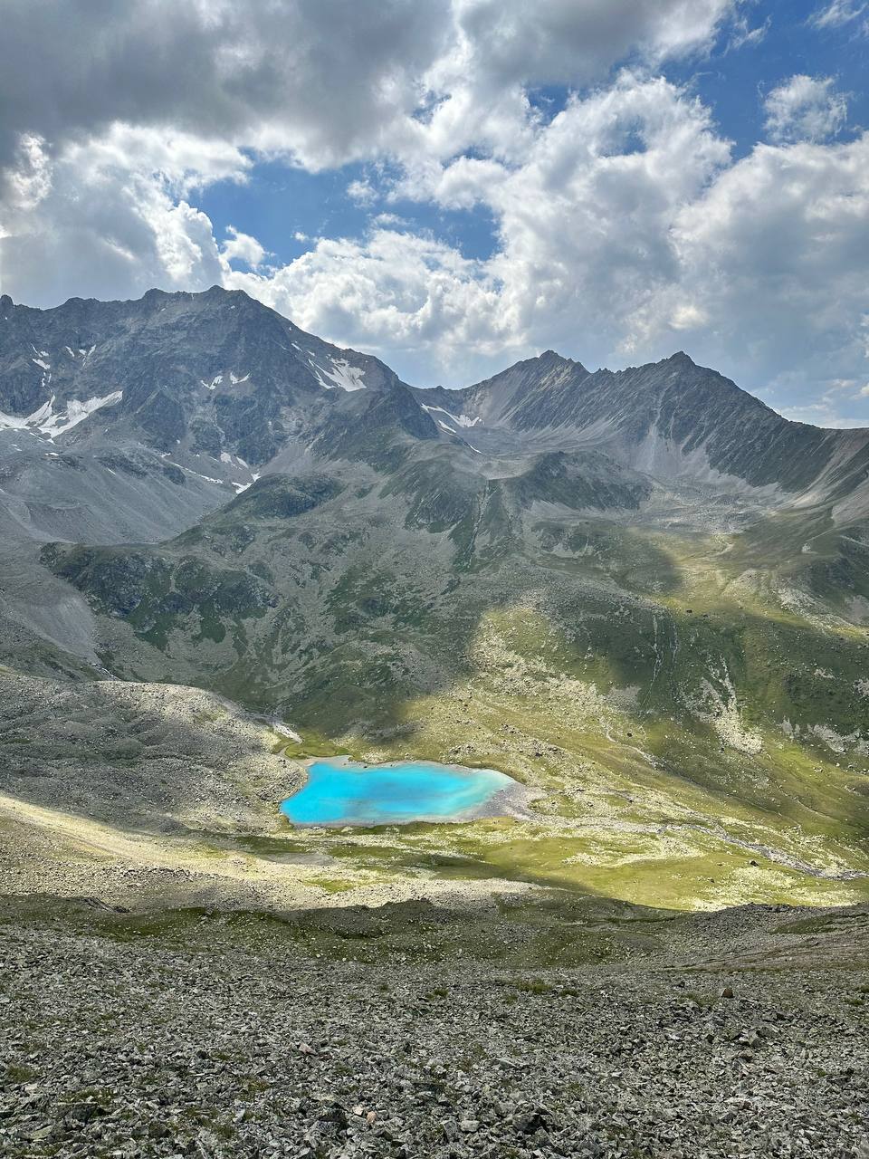 Фото Шафран