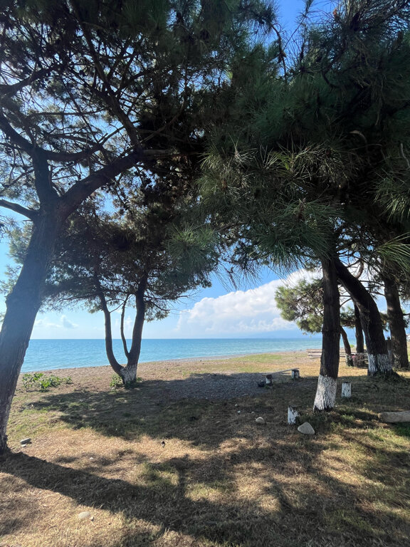 Фото Rodnik village&spa