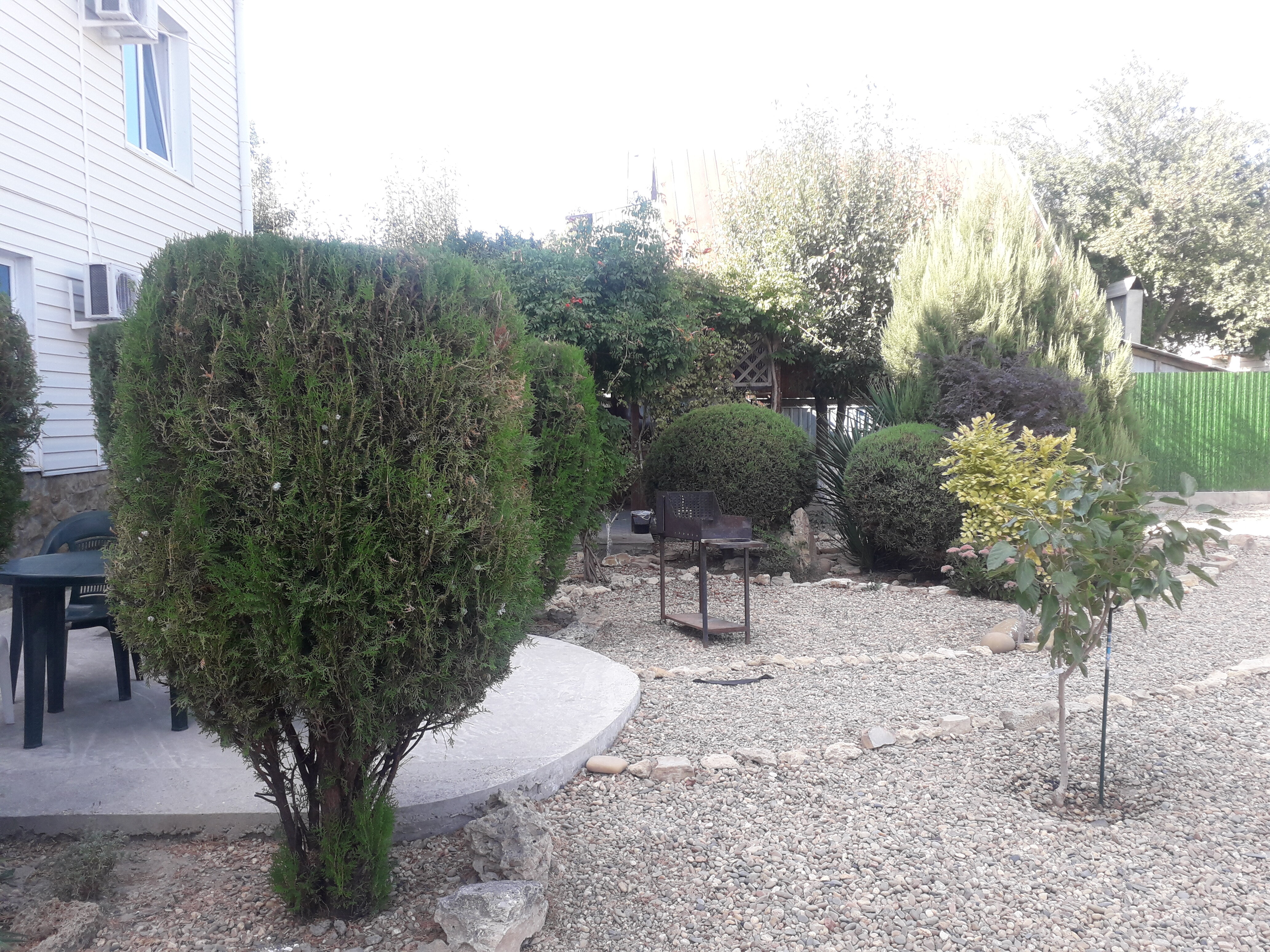 Фото Аннушка