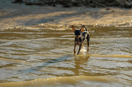 Глэмпинг Выдох в Азове