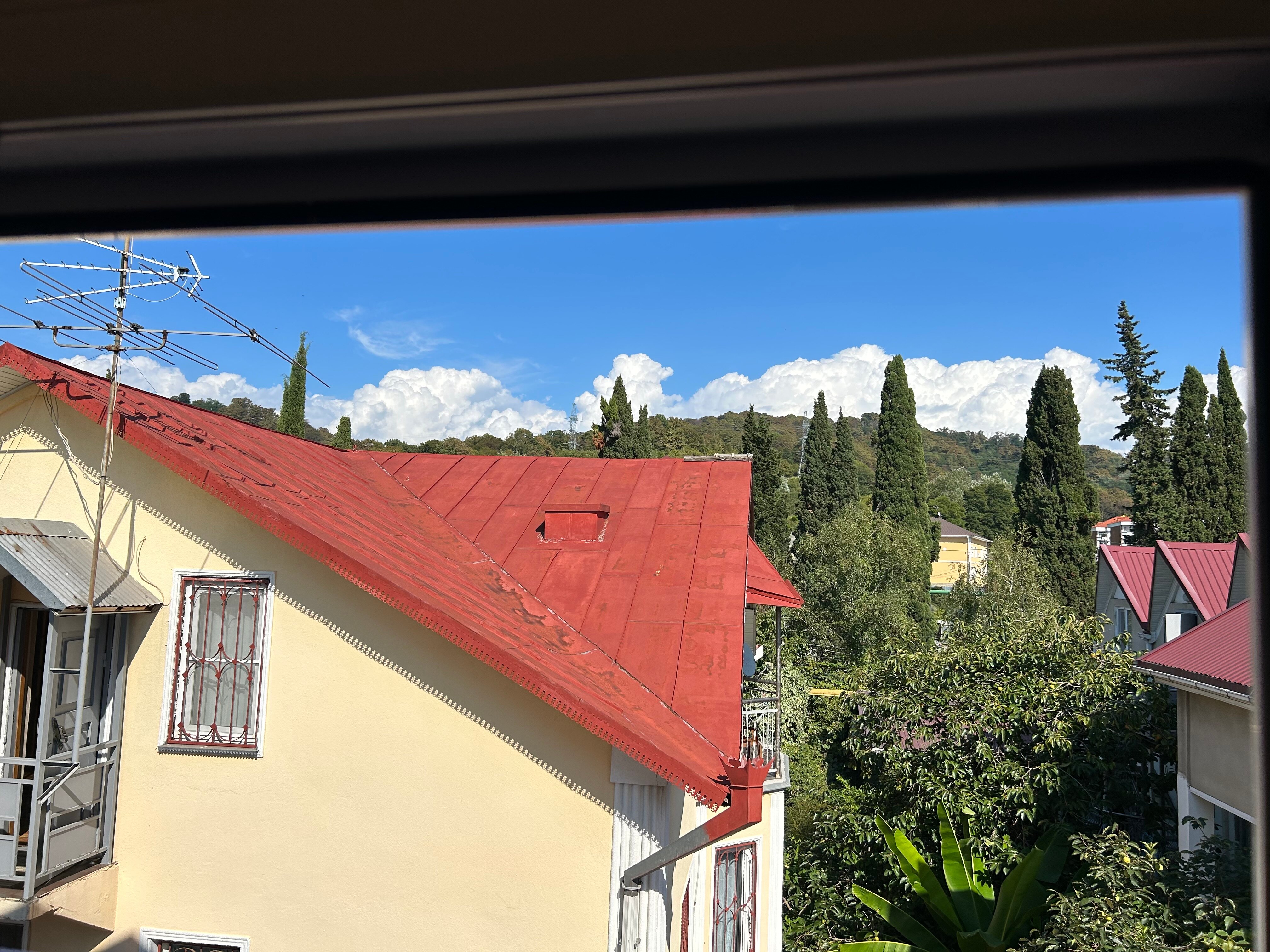 Фото Белая Лилия