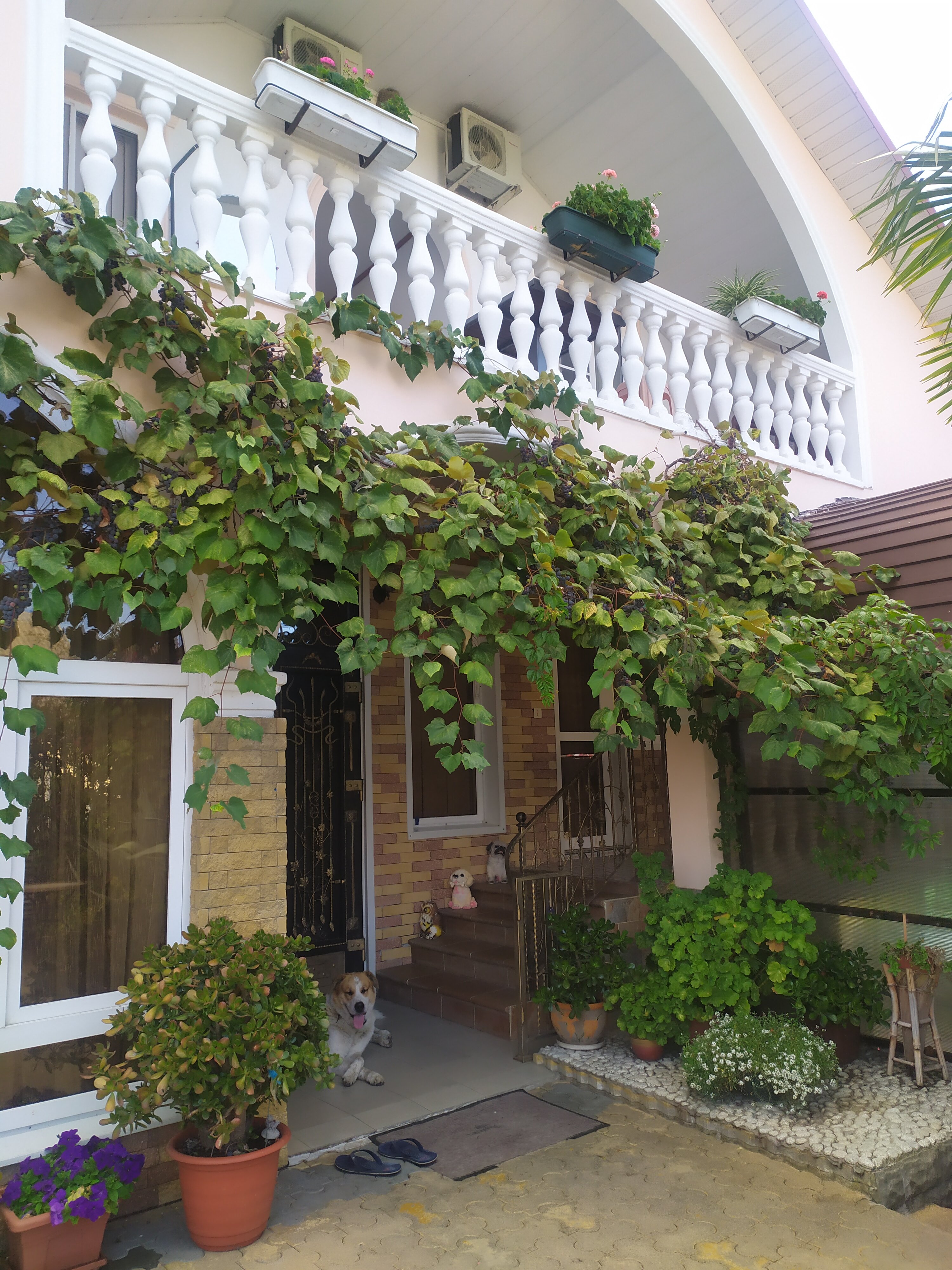 Фото Ласточкино Гнездо