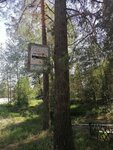 Болонь (Ryazan Region, Klepikovskiy rayon, Bolonskoye selskoye poseleniye, posyolok Bolon, Shkolnaya ulitsa), public transport stop