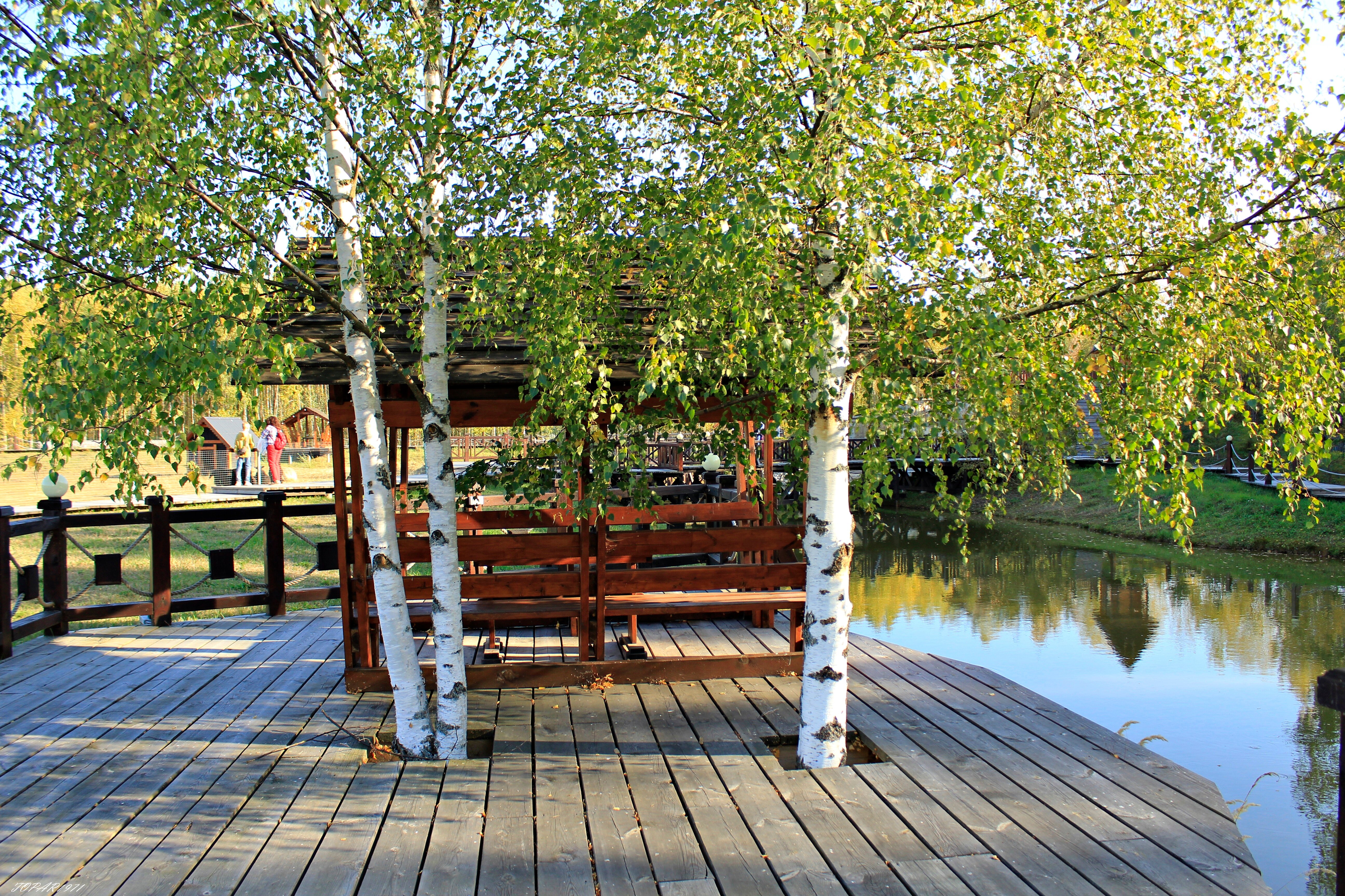 Фото Оленьи пруды