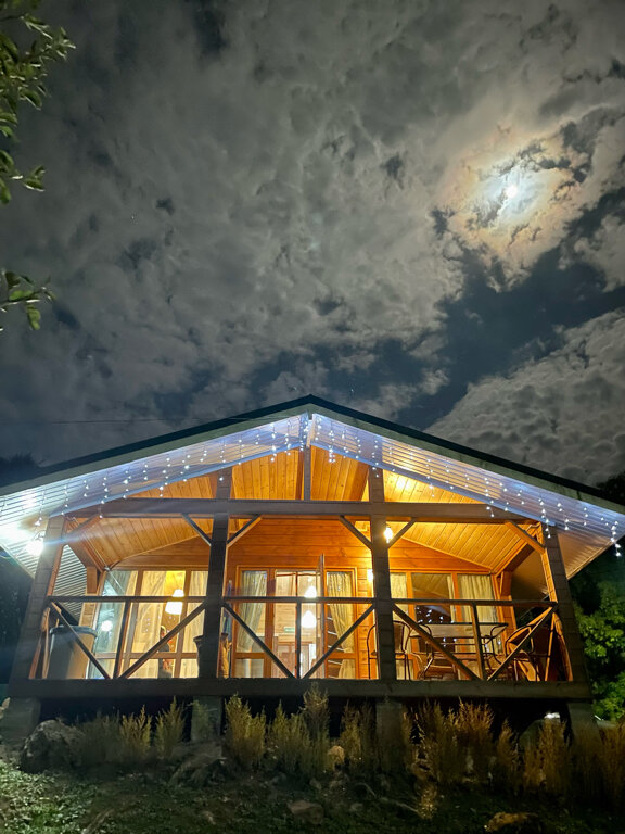 Фото Лесной