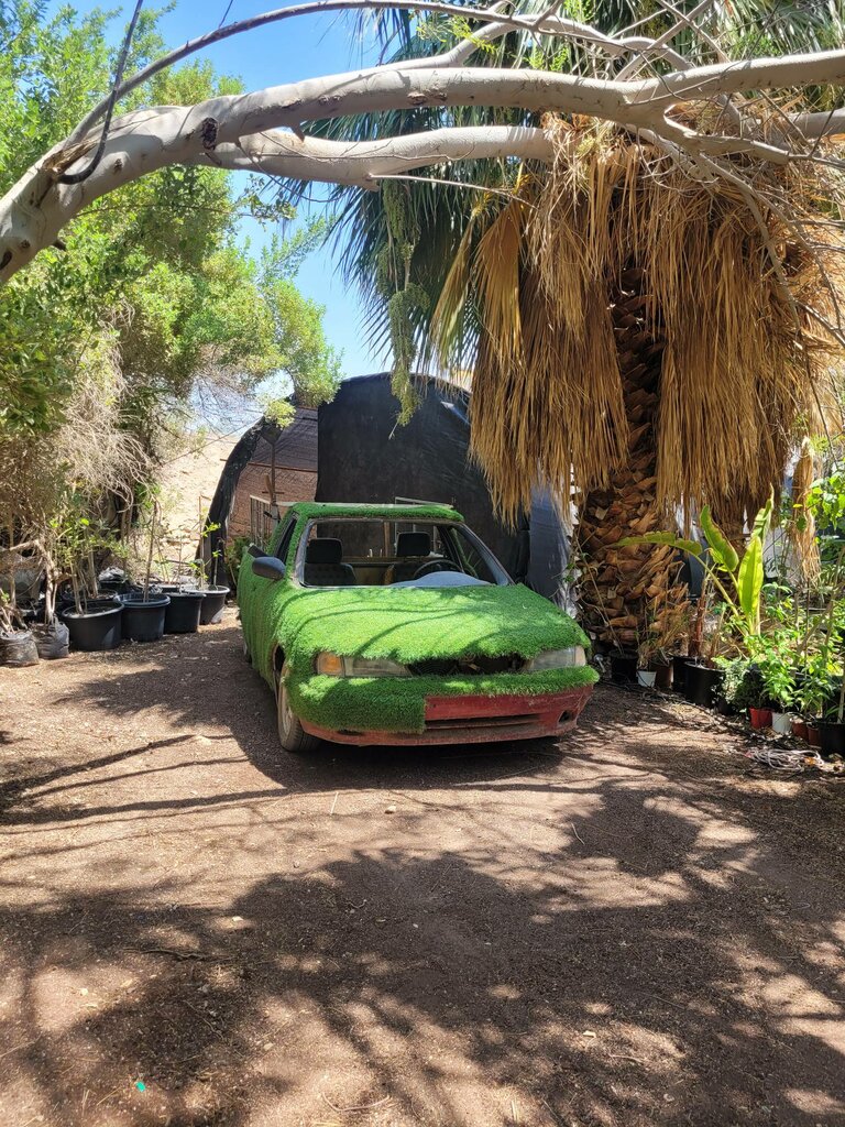 Landmark, attraction Eilats Botanical Garden, Eylat, photo